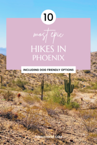 Best Hikes in Phoenix