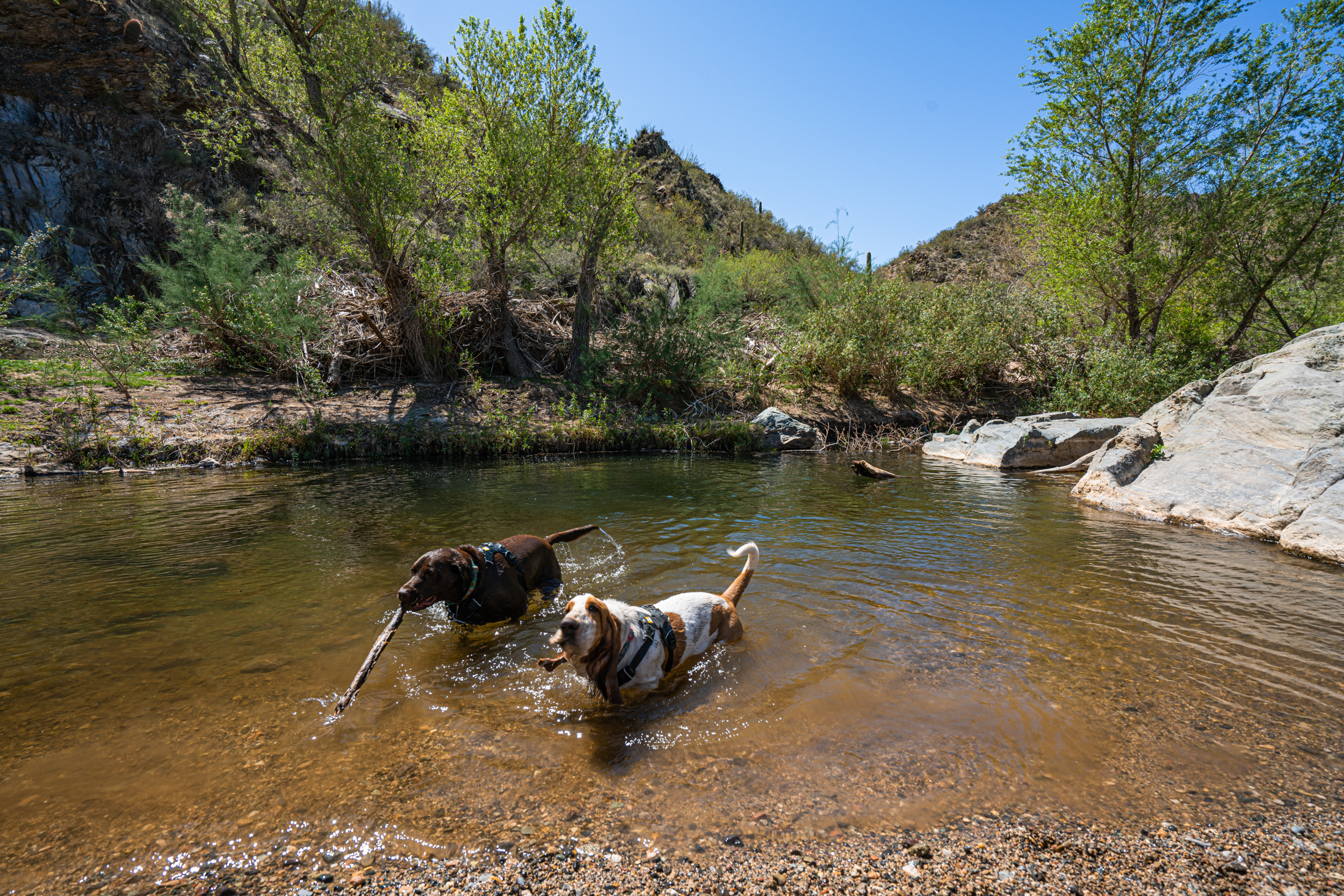 best hikes in Phoenix. FemaleHiker