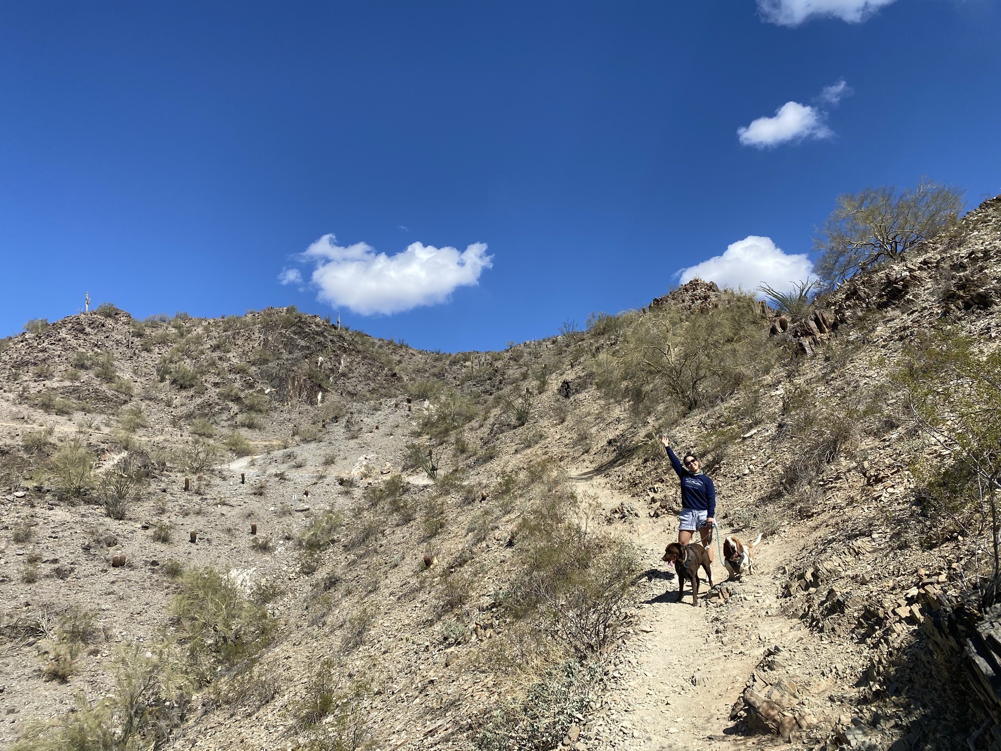 best hikes in Phoenix. FemaleHiker