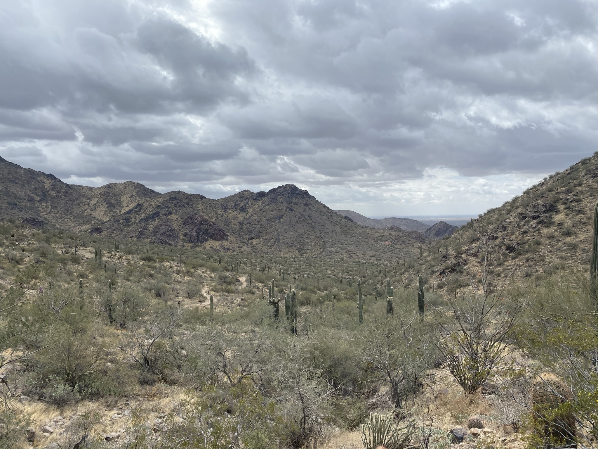 best hikes in Phoenix. FemaleHiker