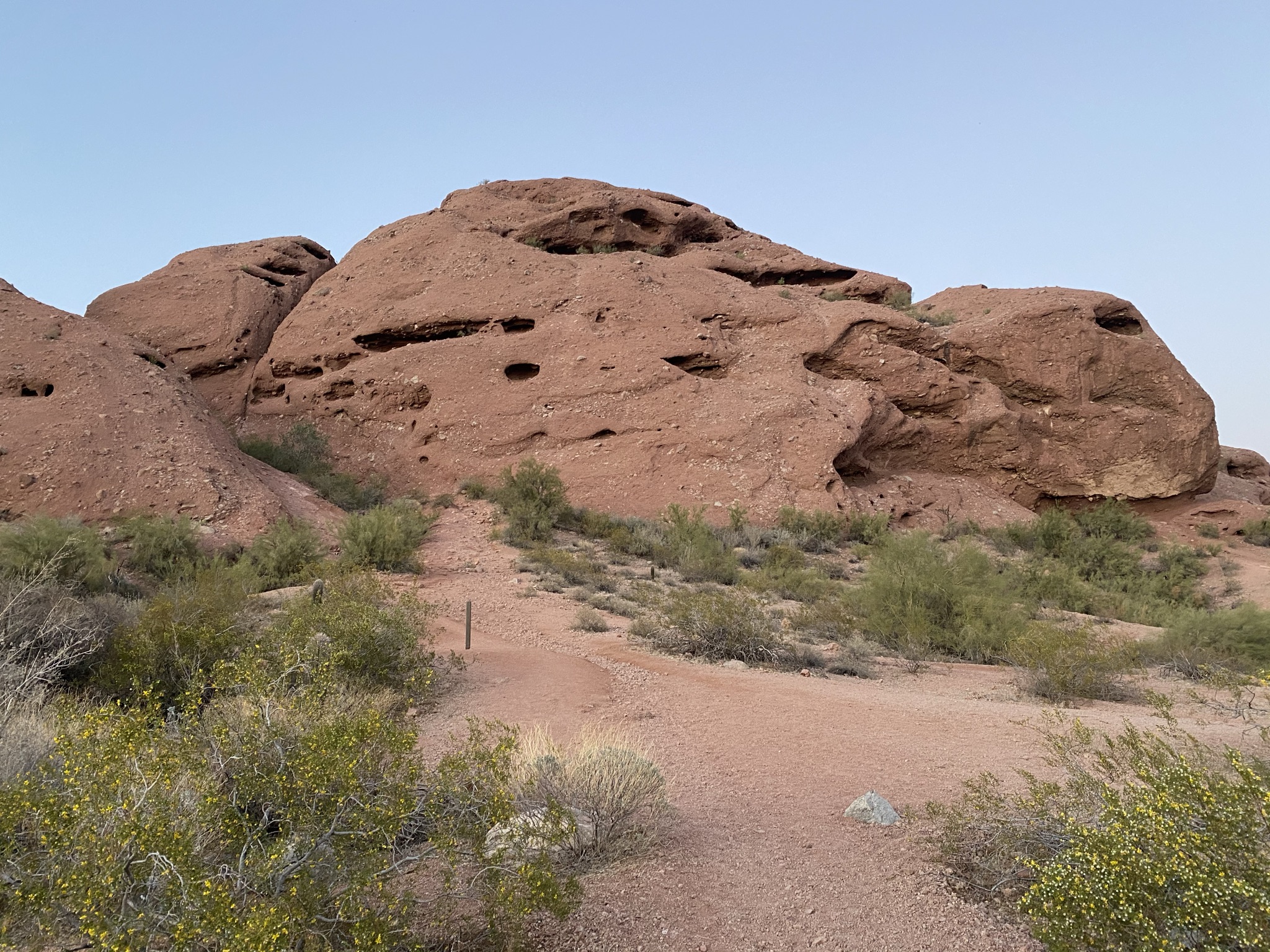 Best hikes in Phoenix. FemaleHiker