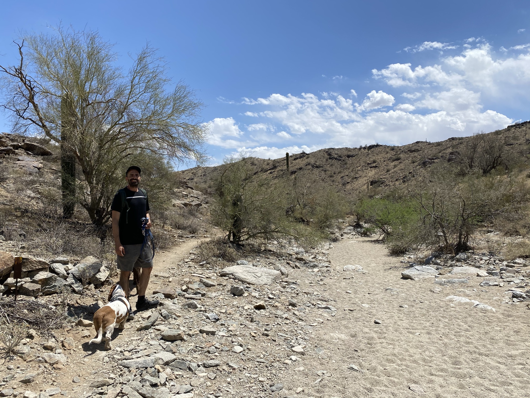 10 Best Hikes in Phoenix 24