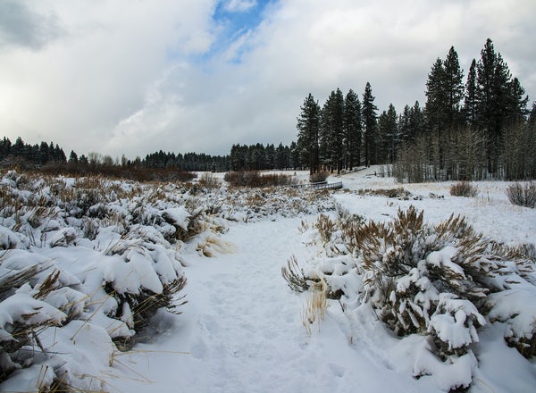 Snowshoeing in Lake Tahoe