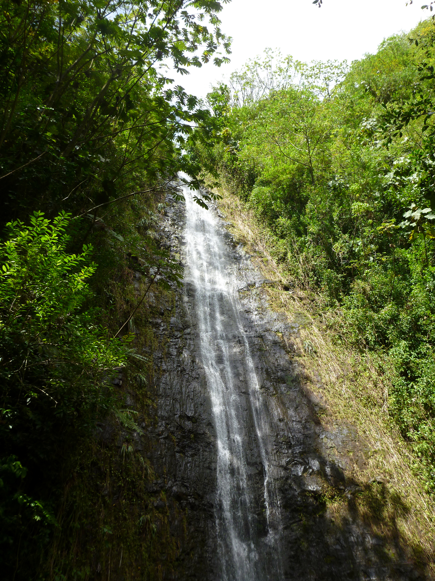 6 Best Waterfall Hikes in Oahu 3