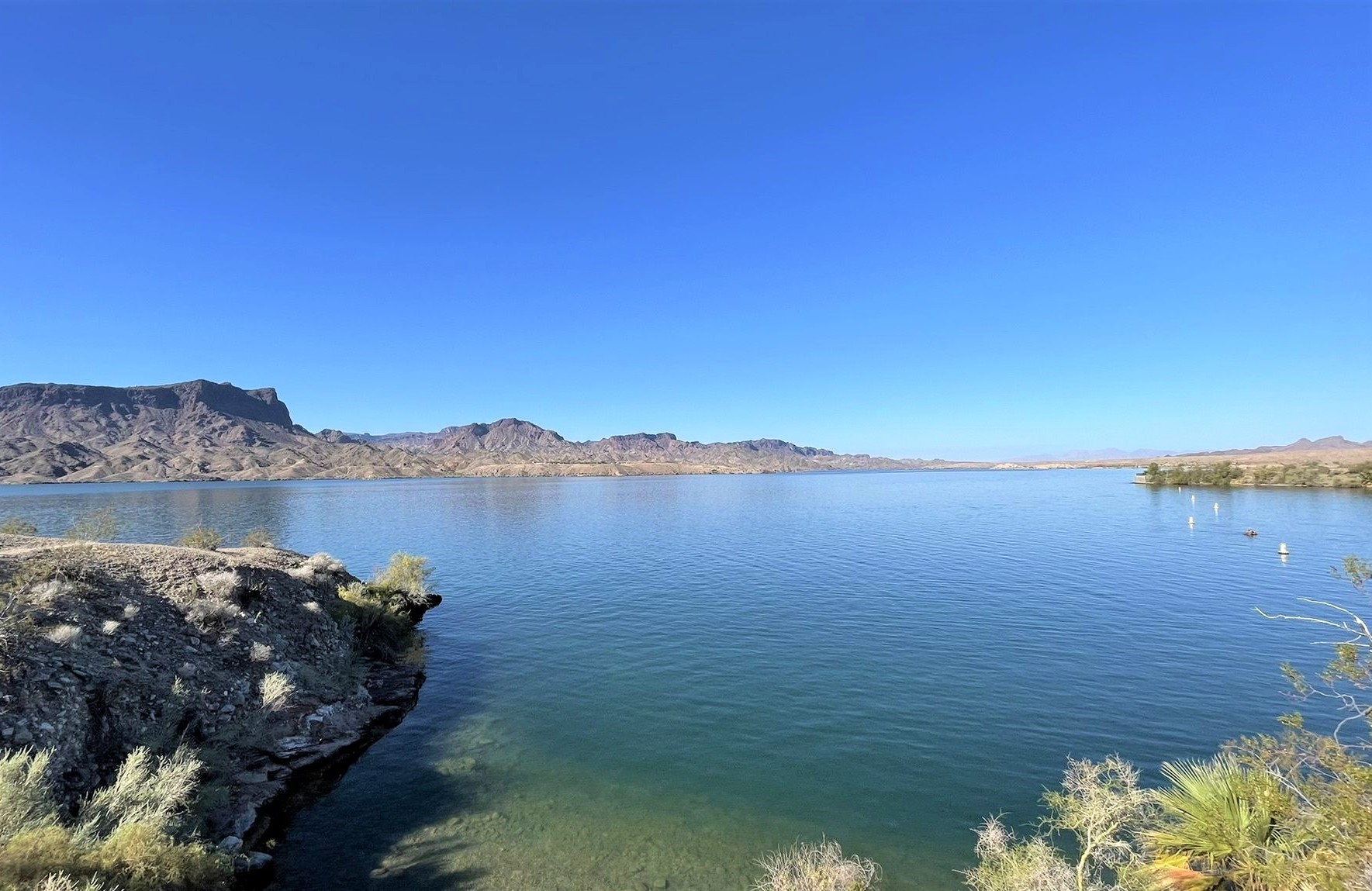 Cattail Cove Perimeter Loop hiking near lake havasu femalehiker