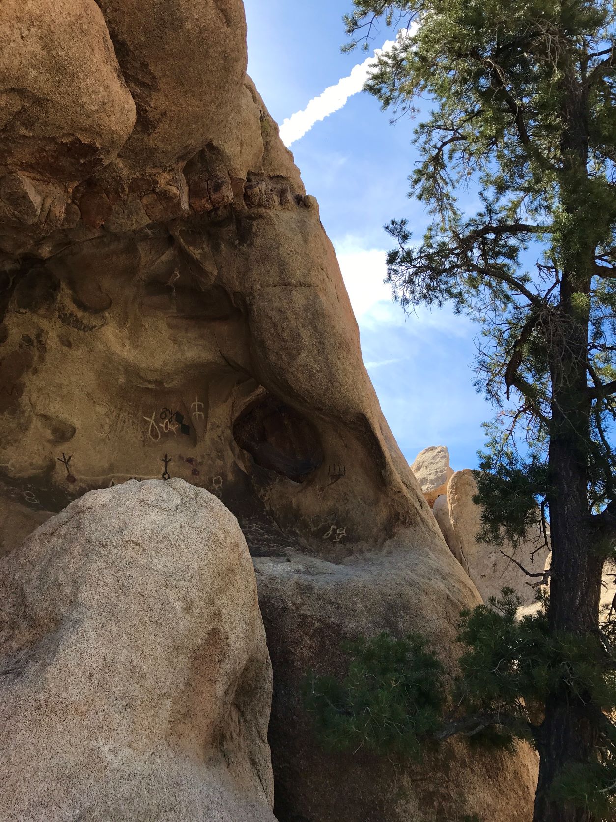 Best Hikes in Joshua Tree femalehiker