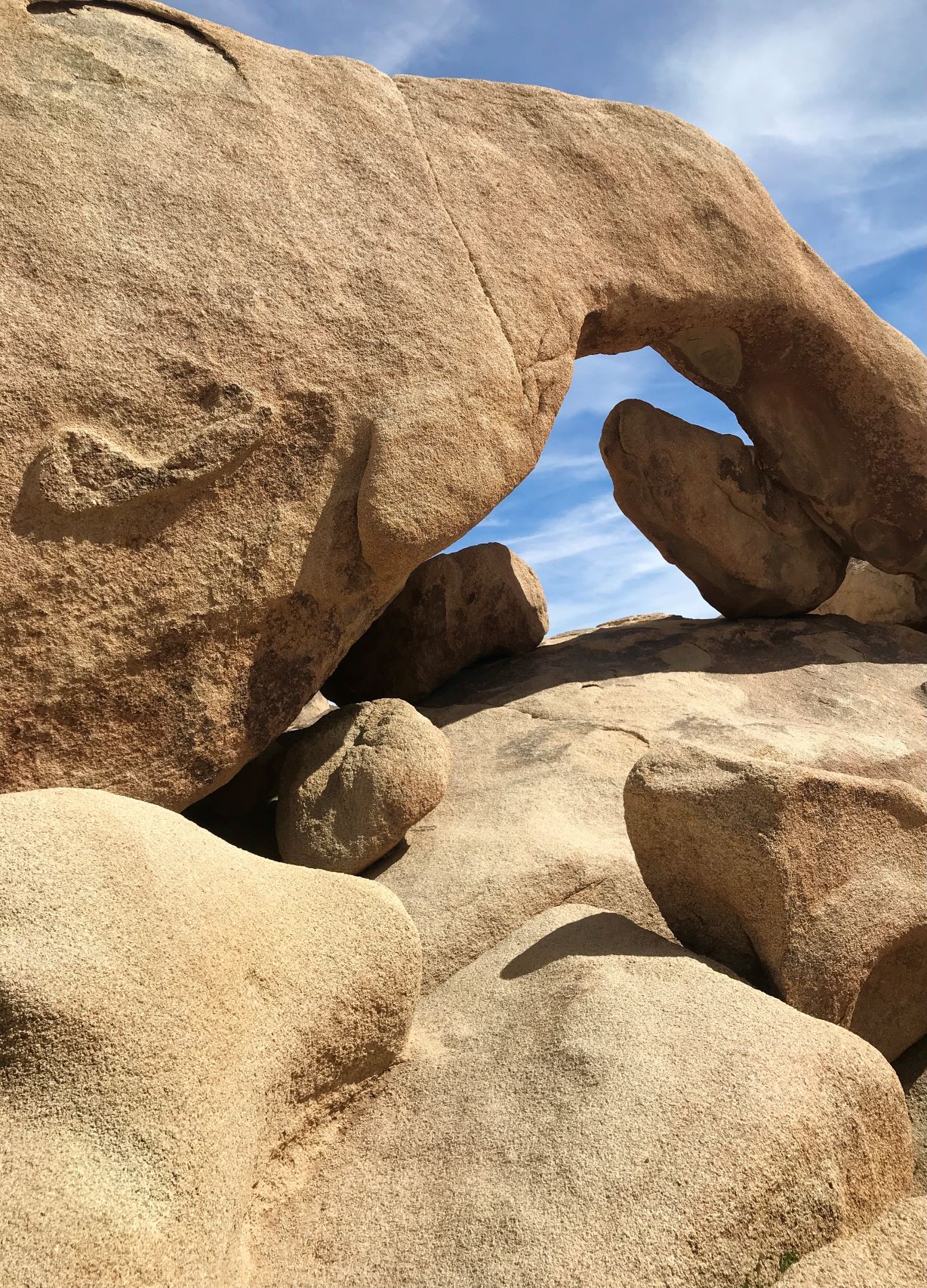 Best Hikes in Joshua Tree femalehiker