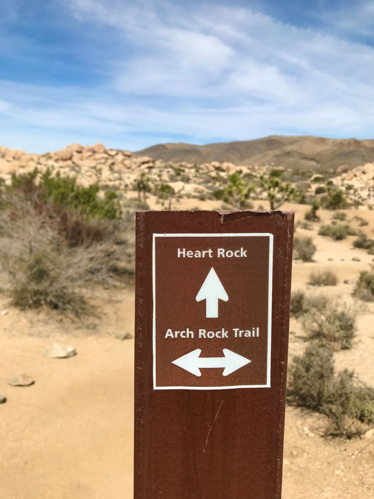 Best Hikes in Joshua Tree femalehiker