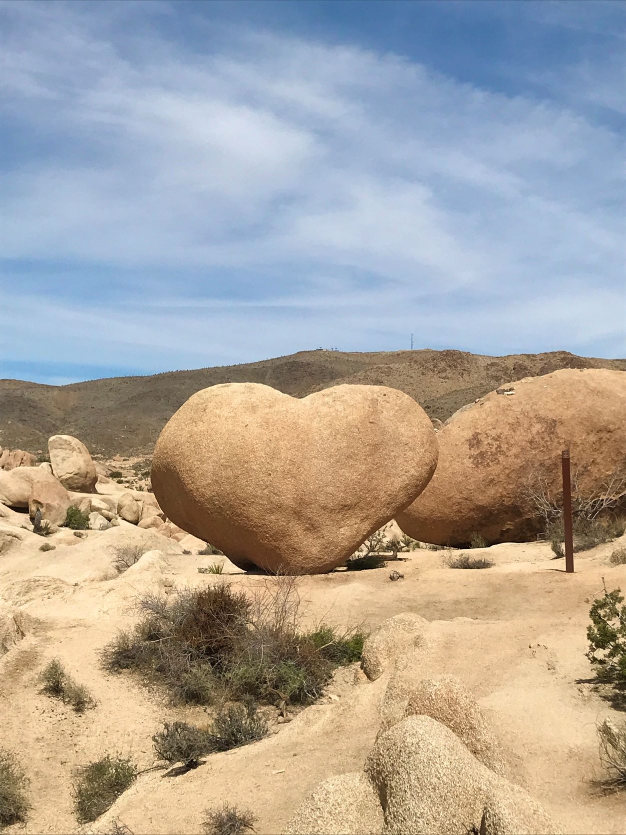 Best Hikes in Joshua Tree femalehiker