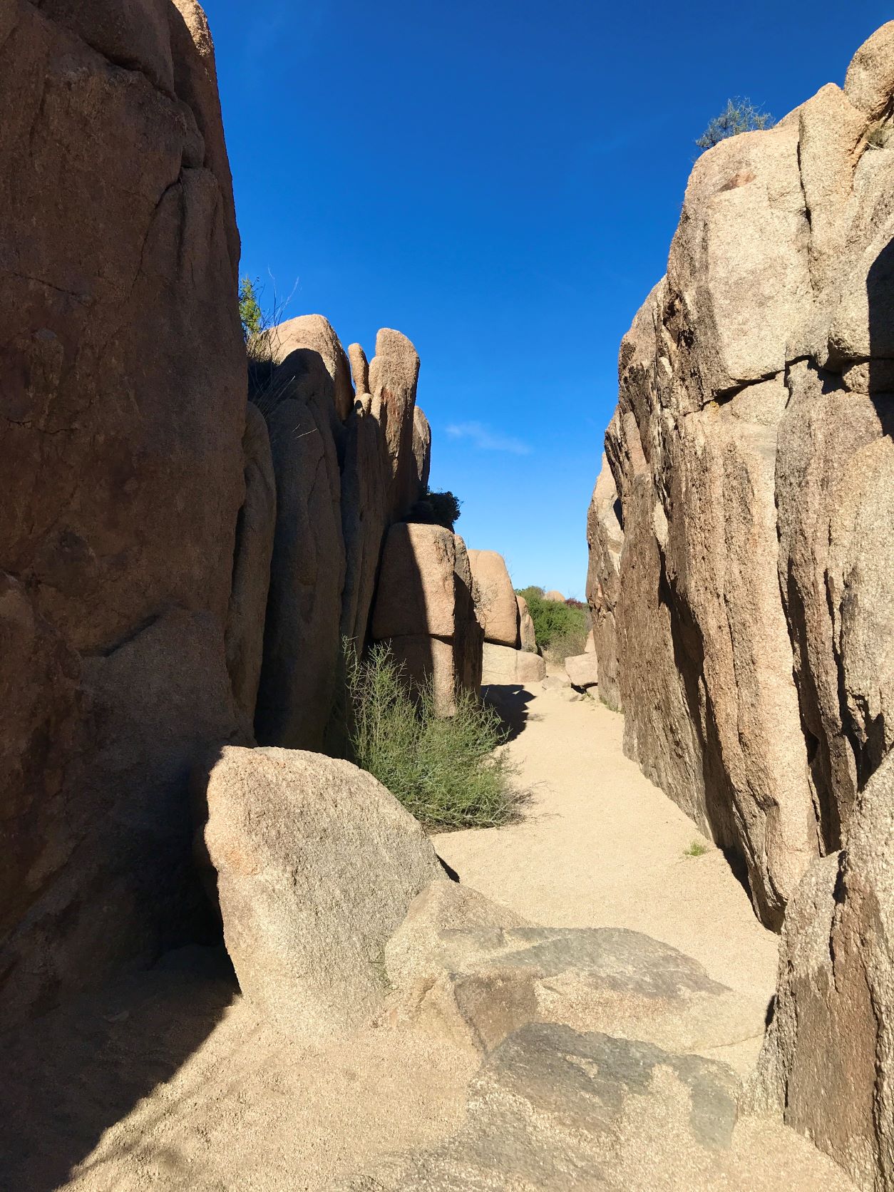 Best Hikes in Joshua Tree femalehiker