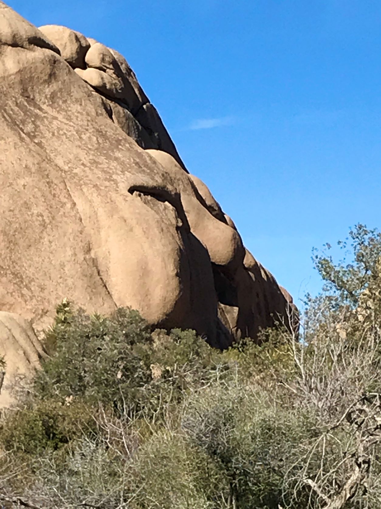 Best Hikes in Joshua Tree femalehiker