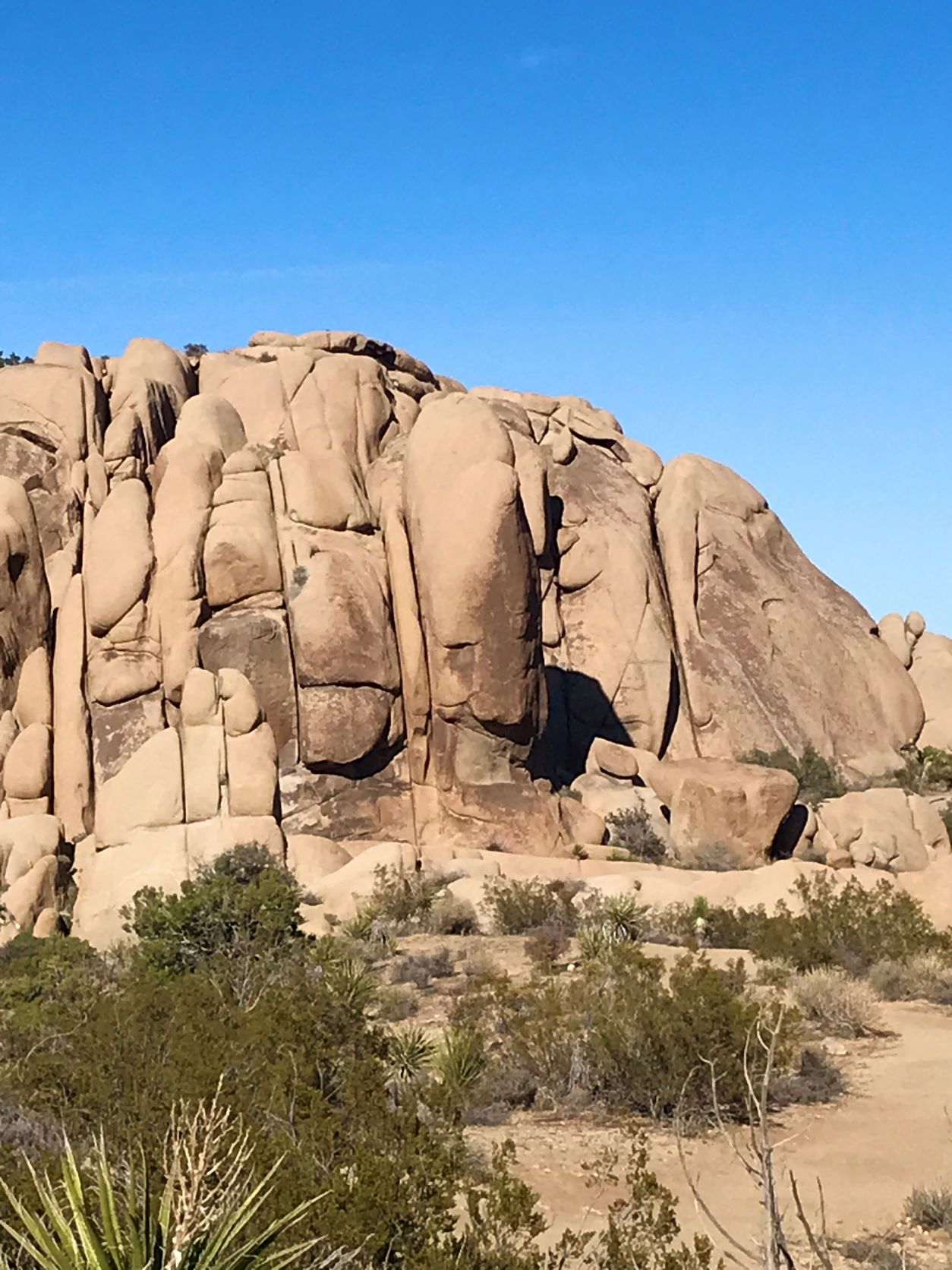 Best Hikes in Joshua Tree femalehiker