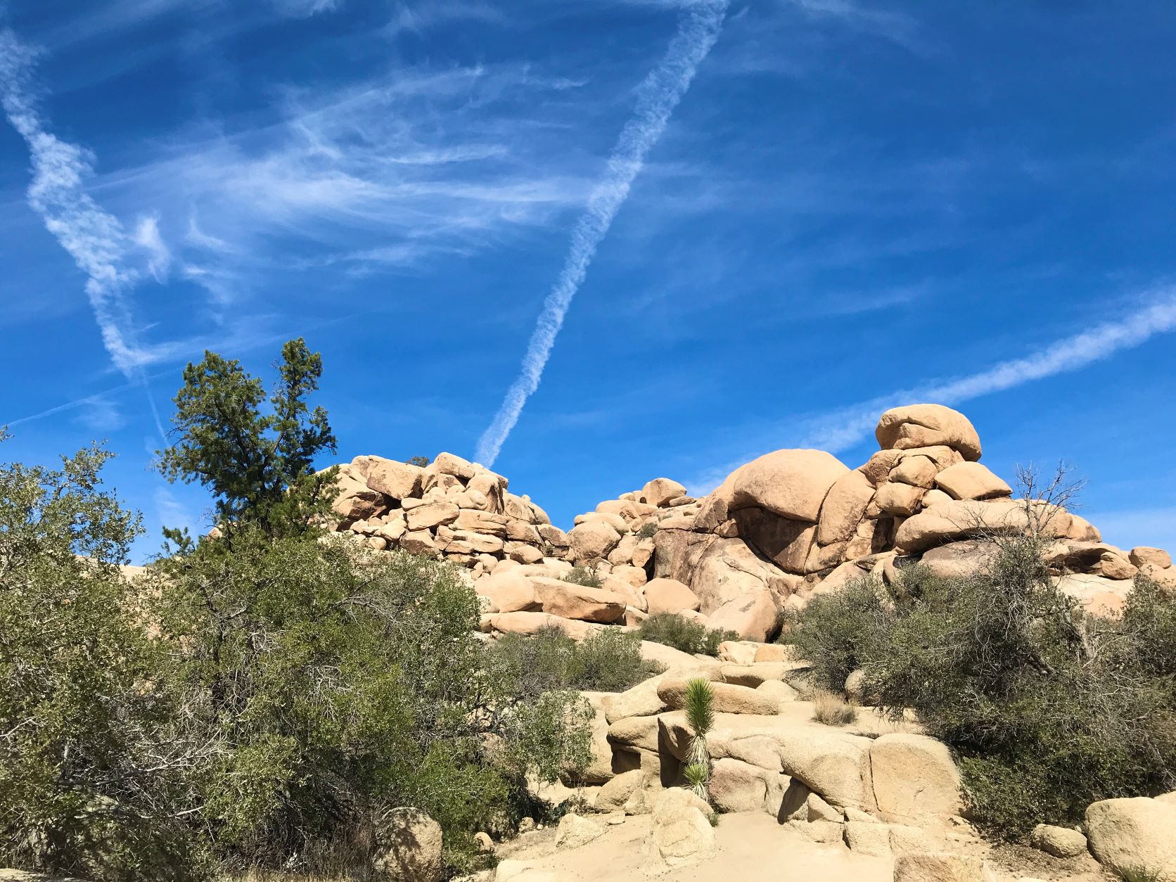 Best Hikes in Joshua Tree femalehiker