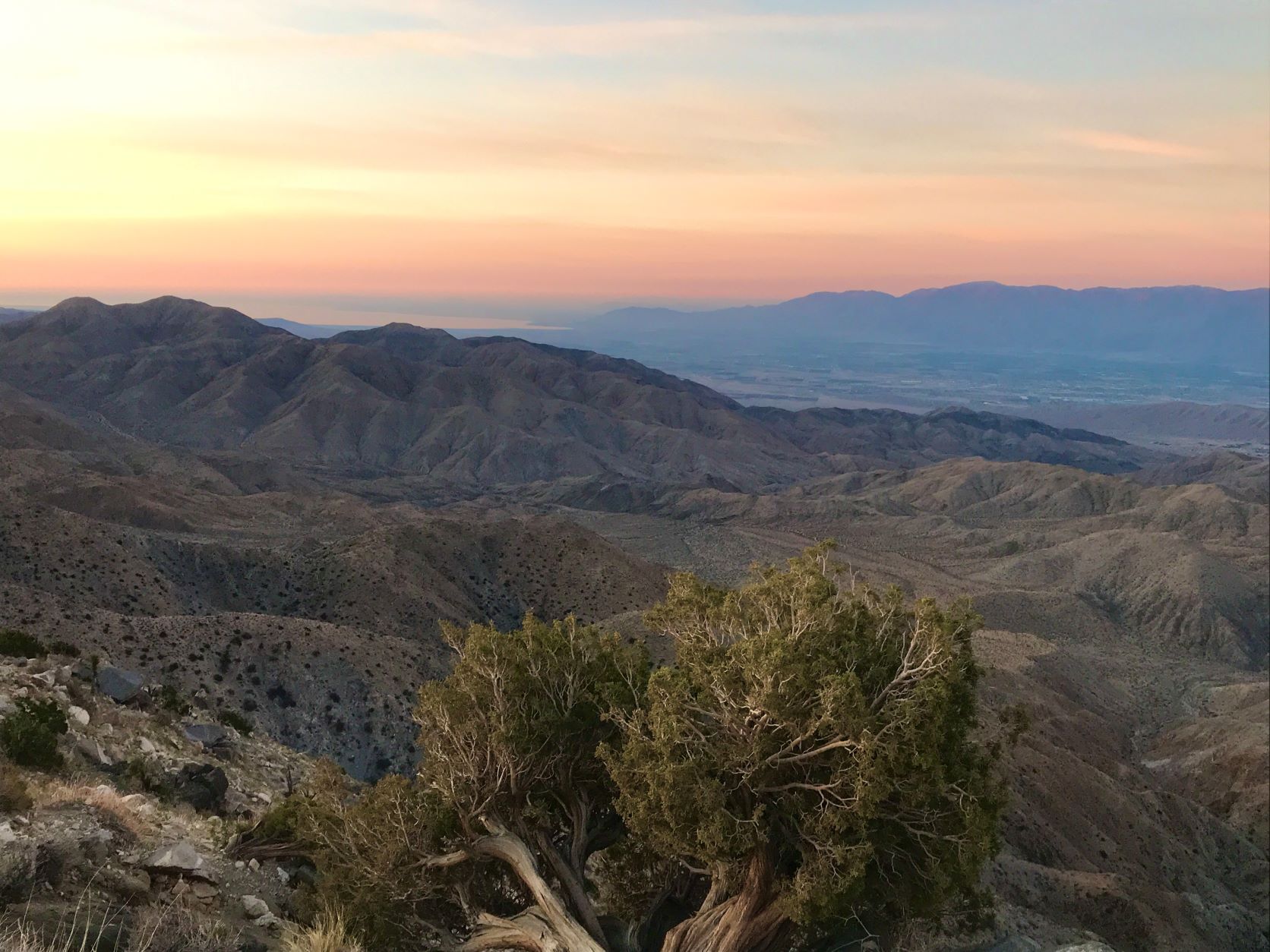 Best Hikes in Joshua Tree 47