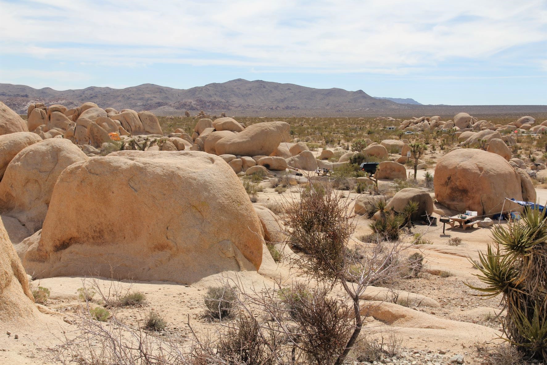 Best Hikes in Joshua Tree femalehiker