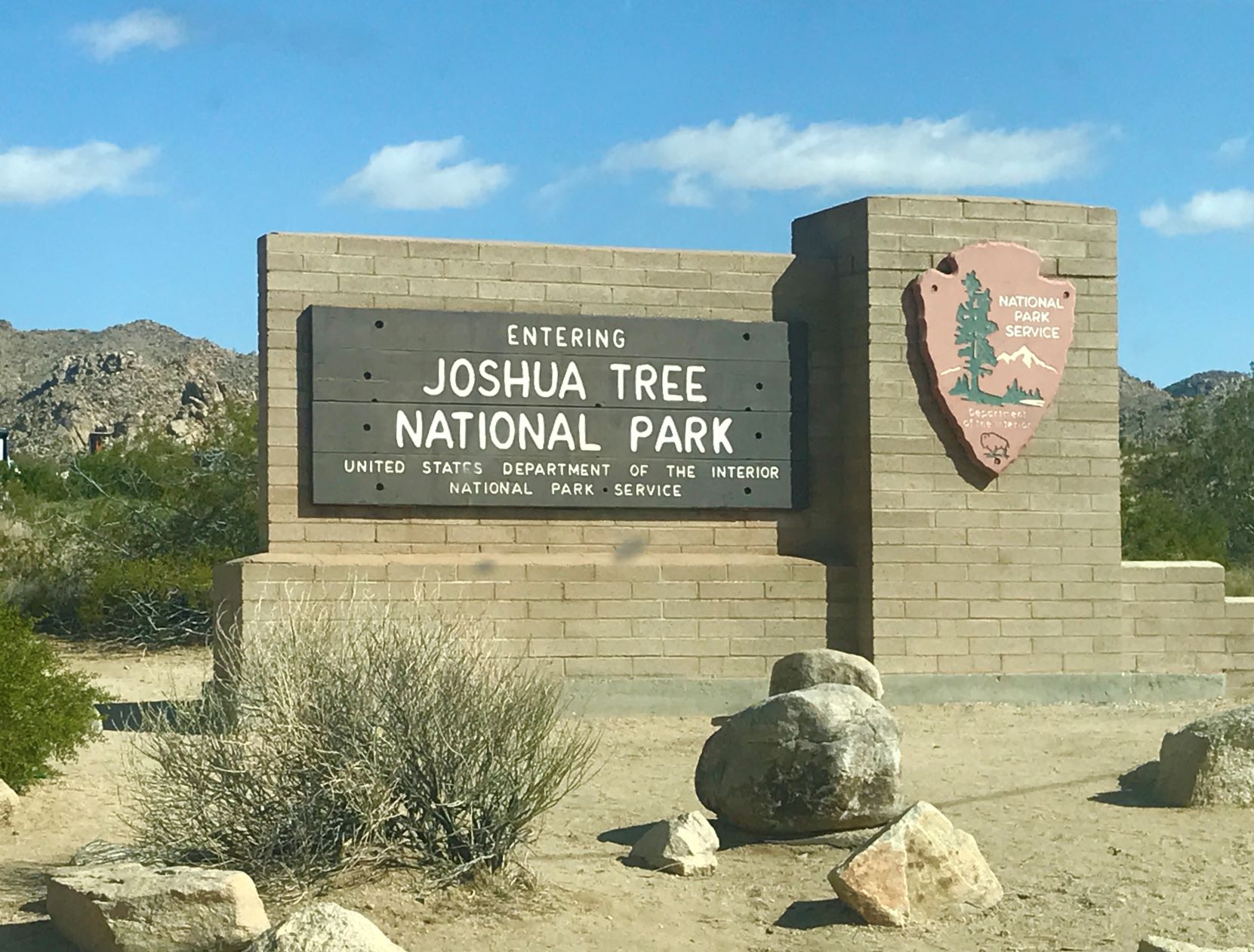 Best Hikes in Joshua Tree femalehiker