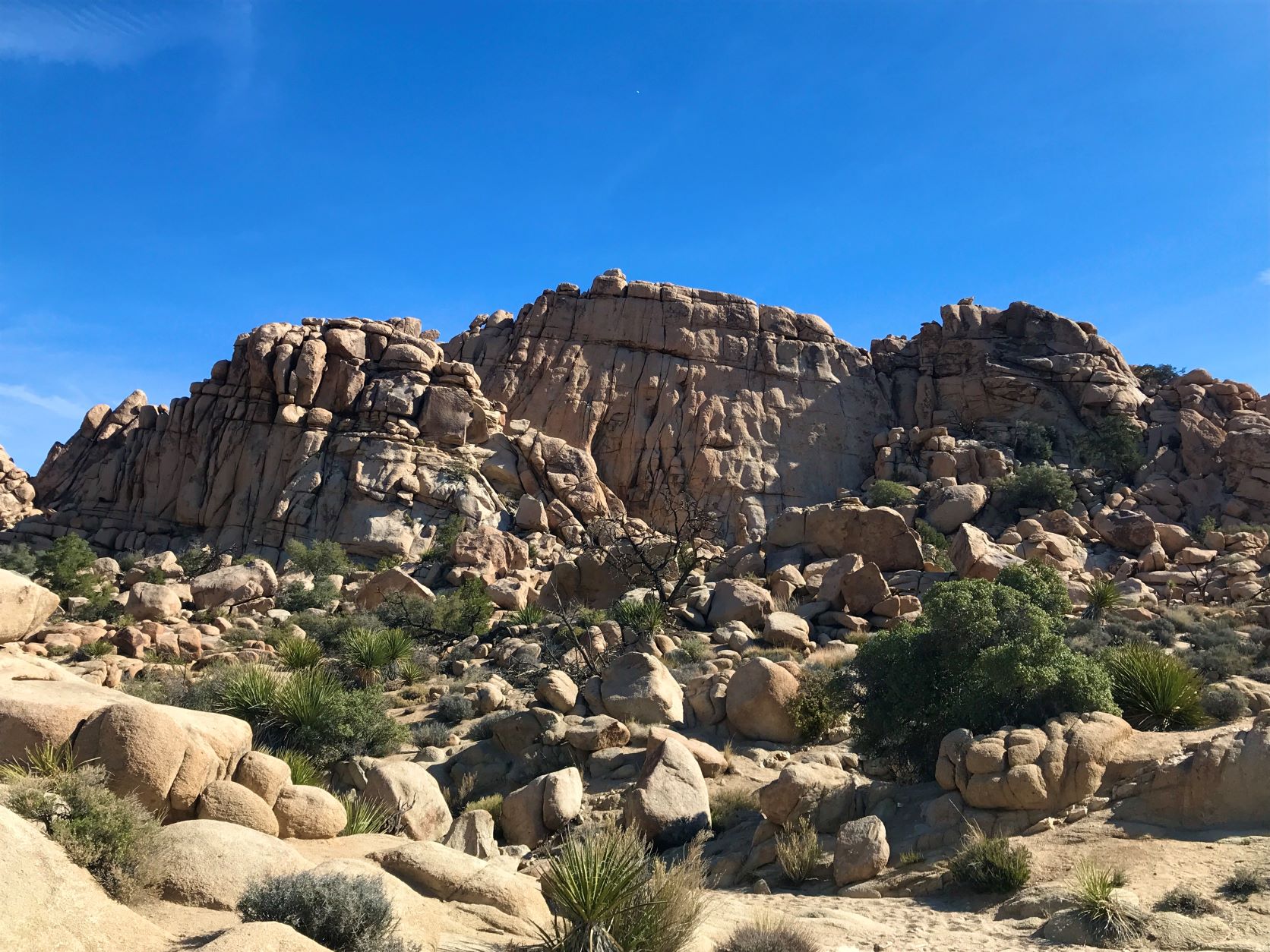 Best Hikes in Joshua Tree femalehiker