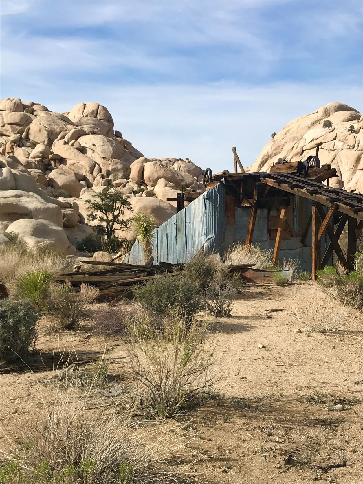 Best Hikes in Joshua Tree femalehiker