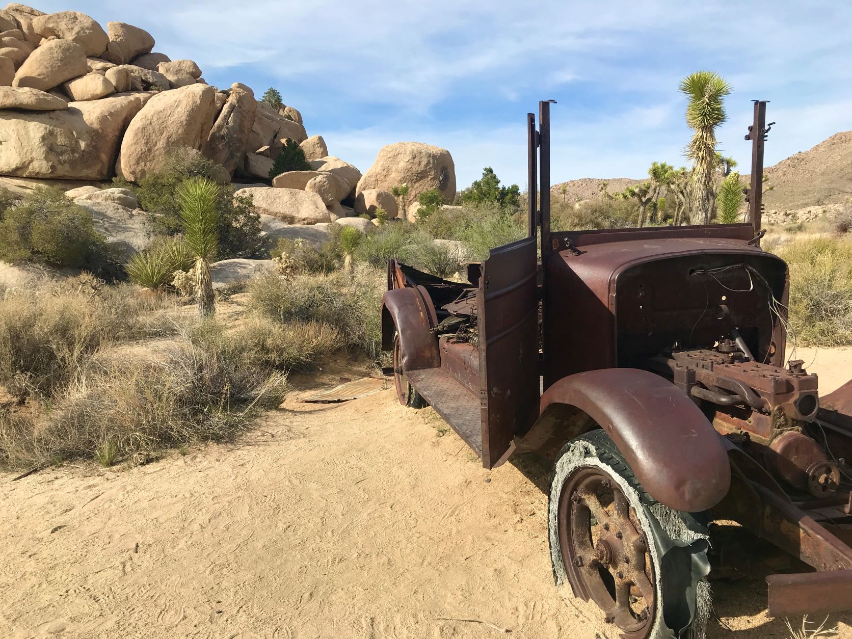 Best Hikes in Joshua Tree femalehiker