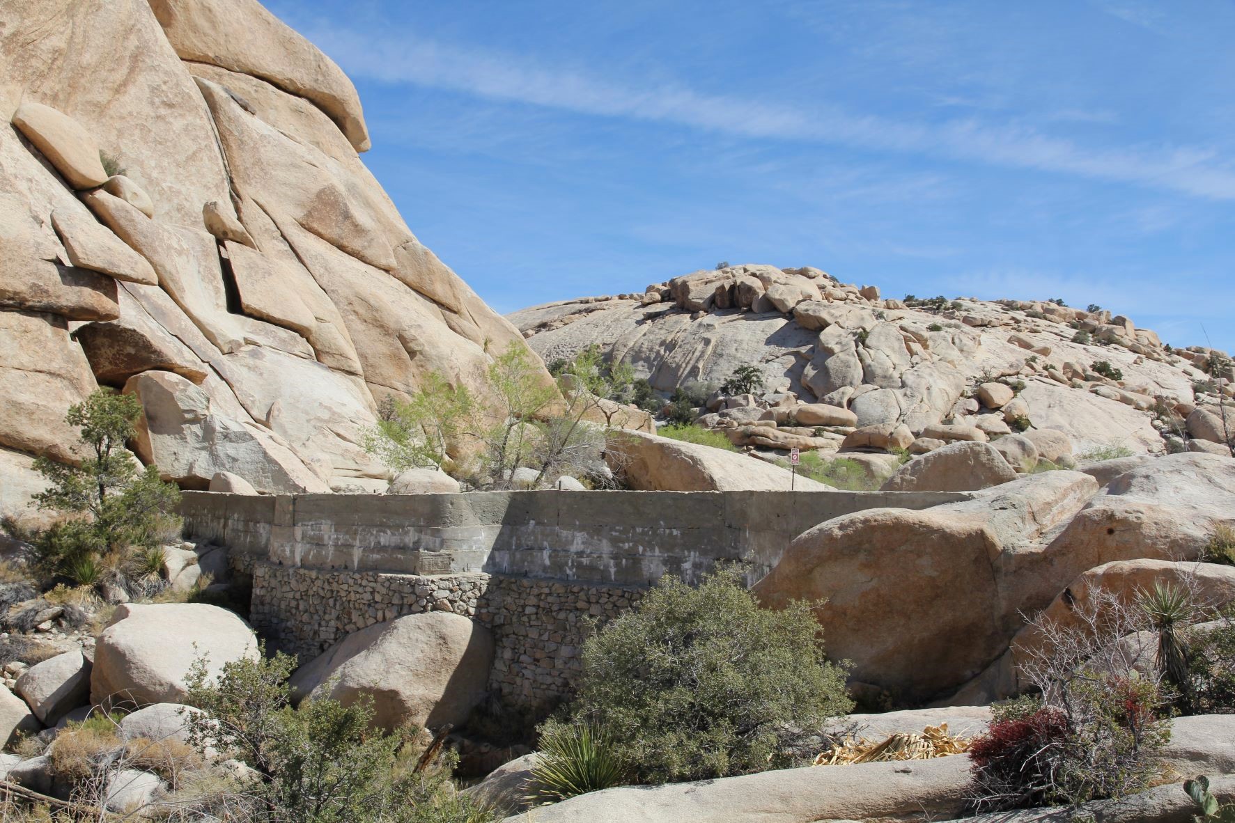 Best Hikes in Joshua Tree femalehiker