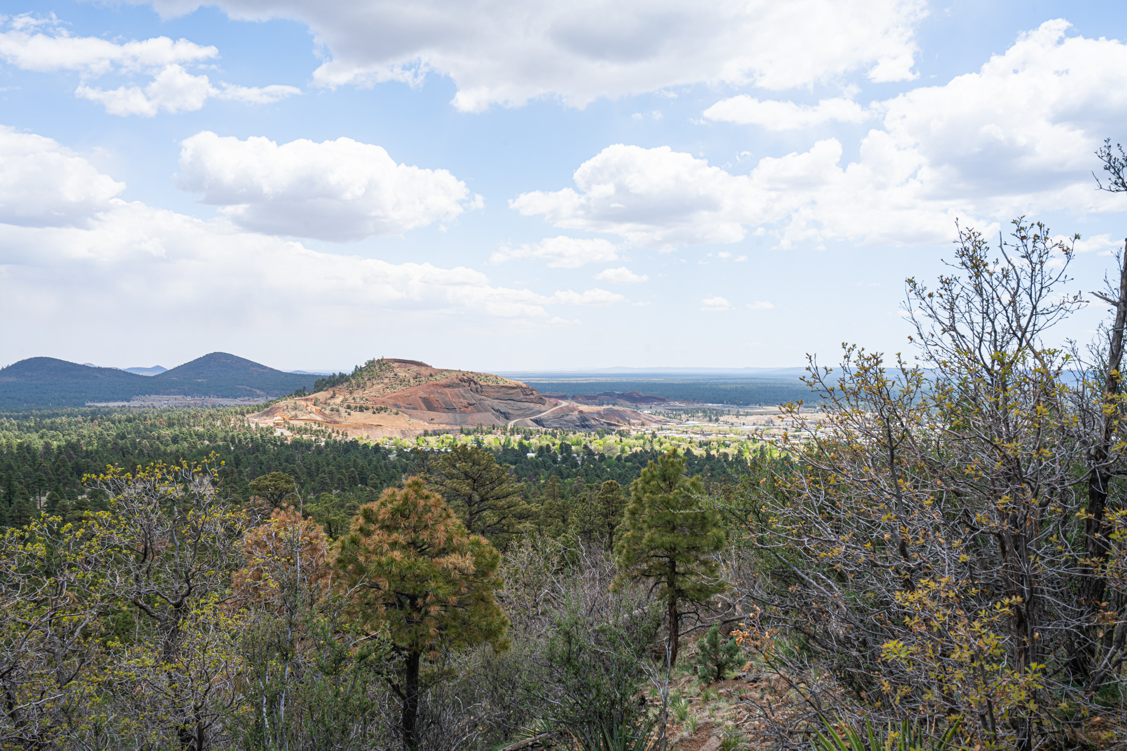 flagstaff hiking trails