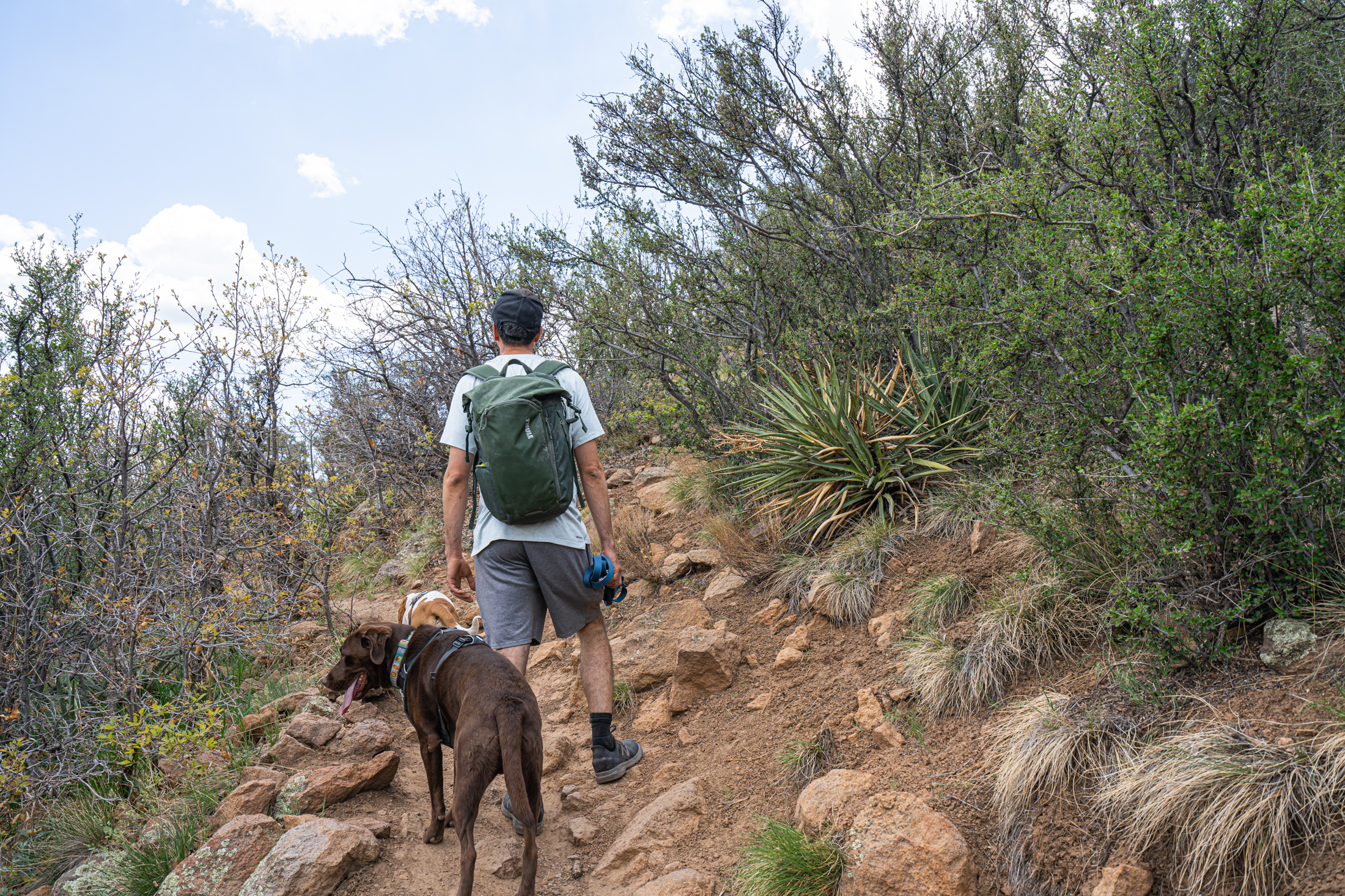 Flagstaff hiking trails