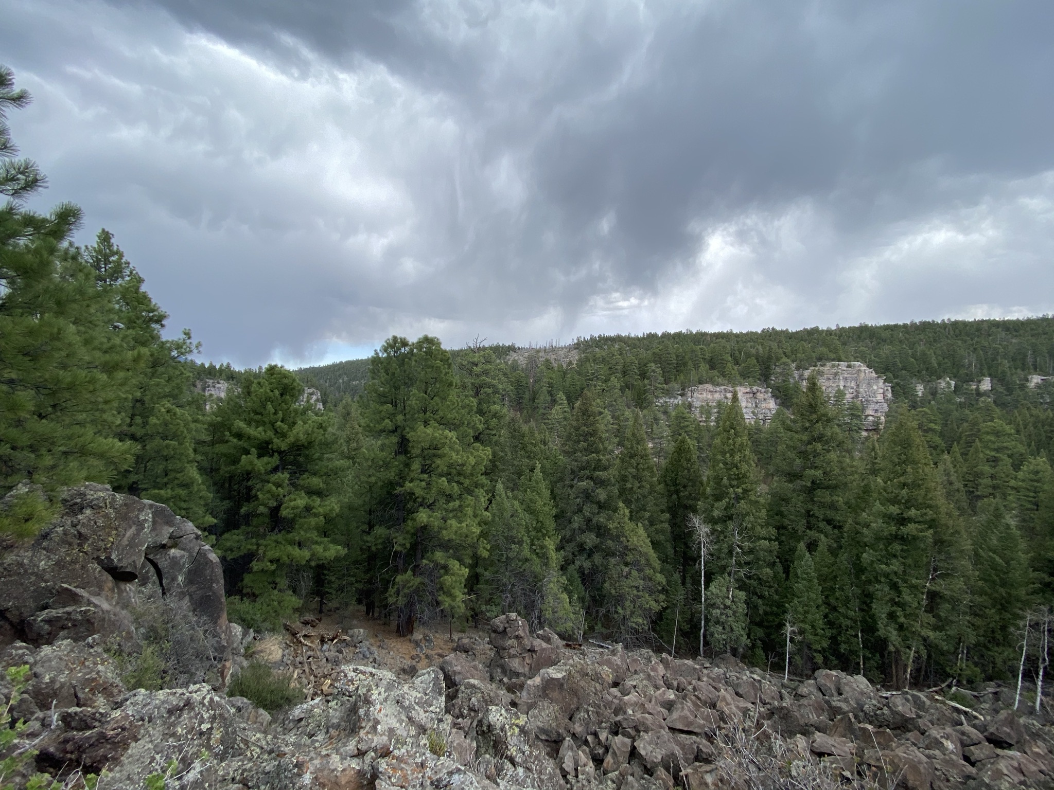 flagstaff hiking trails