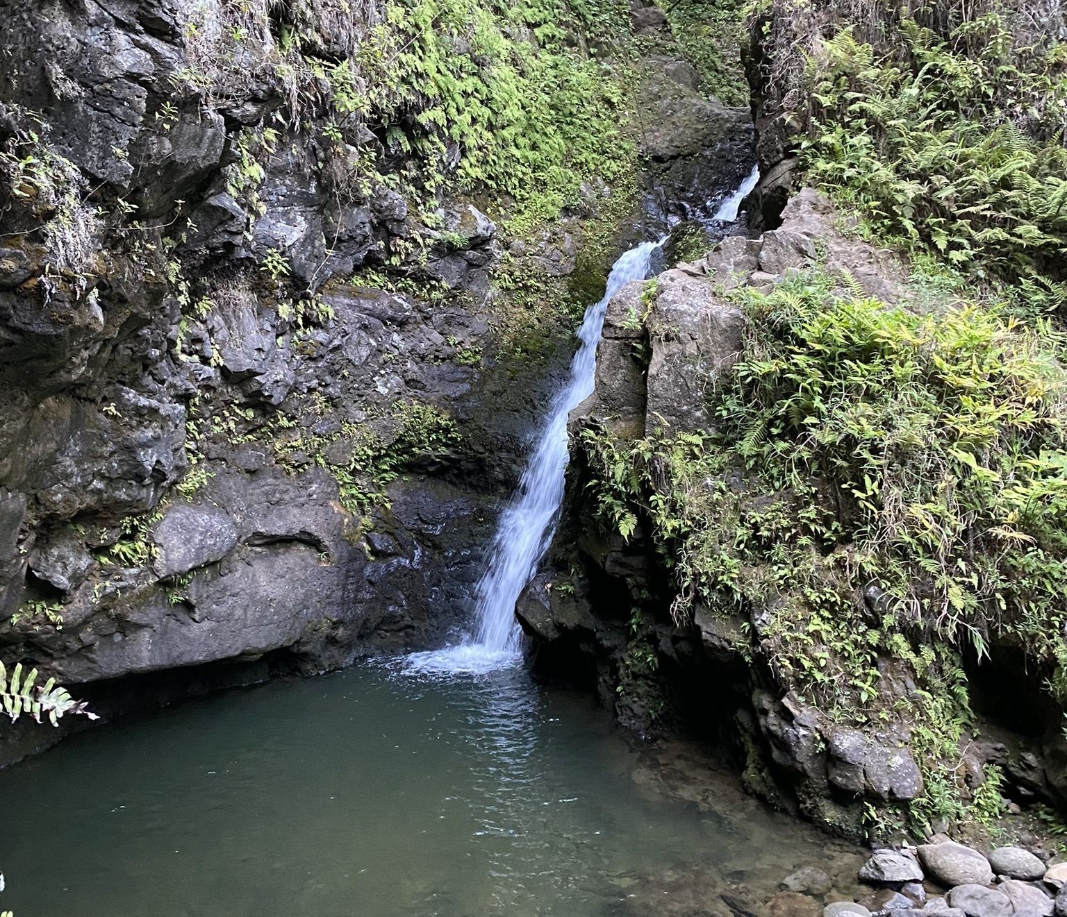 5 Hiking Trails for Waterfalls in Maui 7