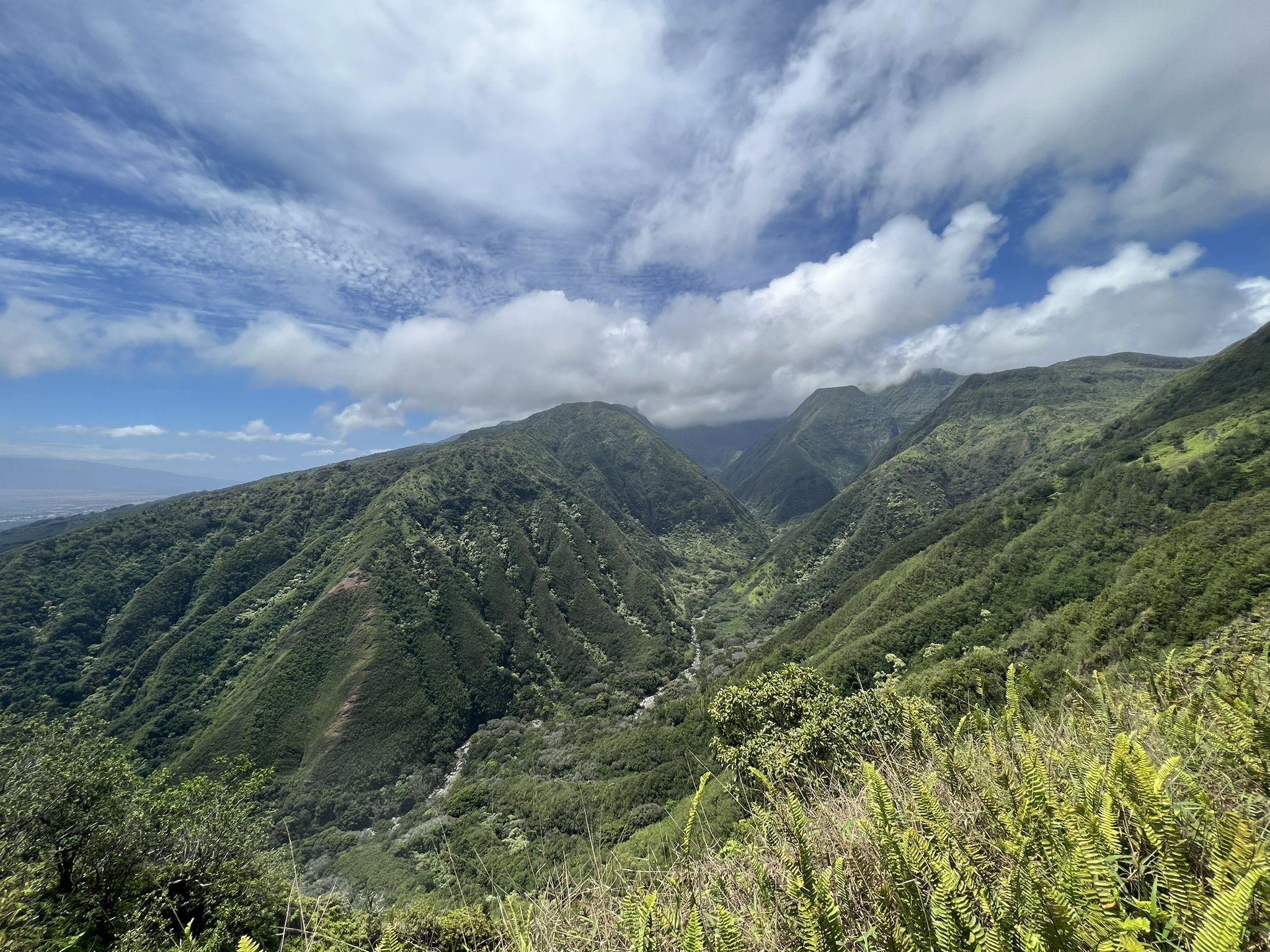 Waterfalls in Maui