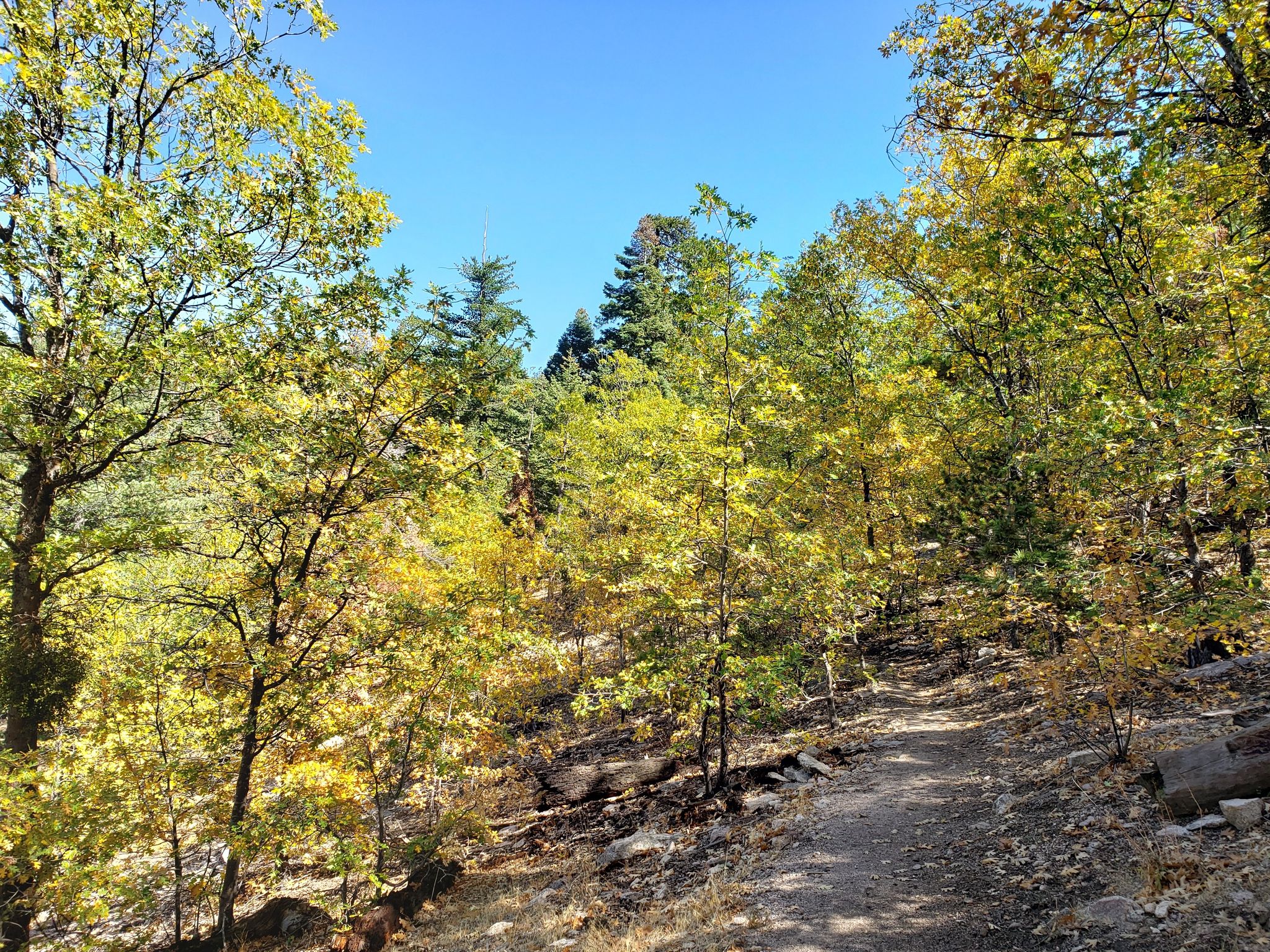 Lake Arrowhead hiking trail