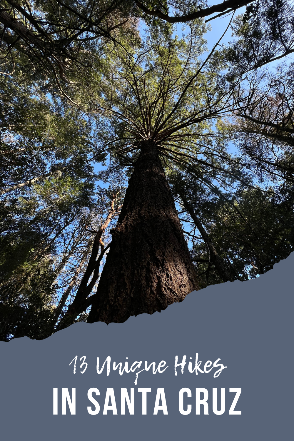 13 unique hiking trails in Santa Cruz
