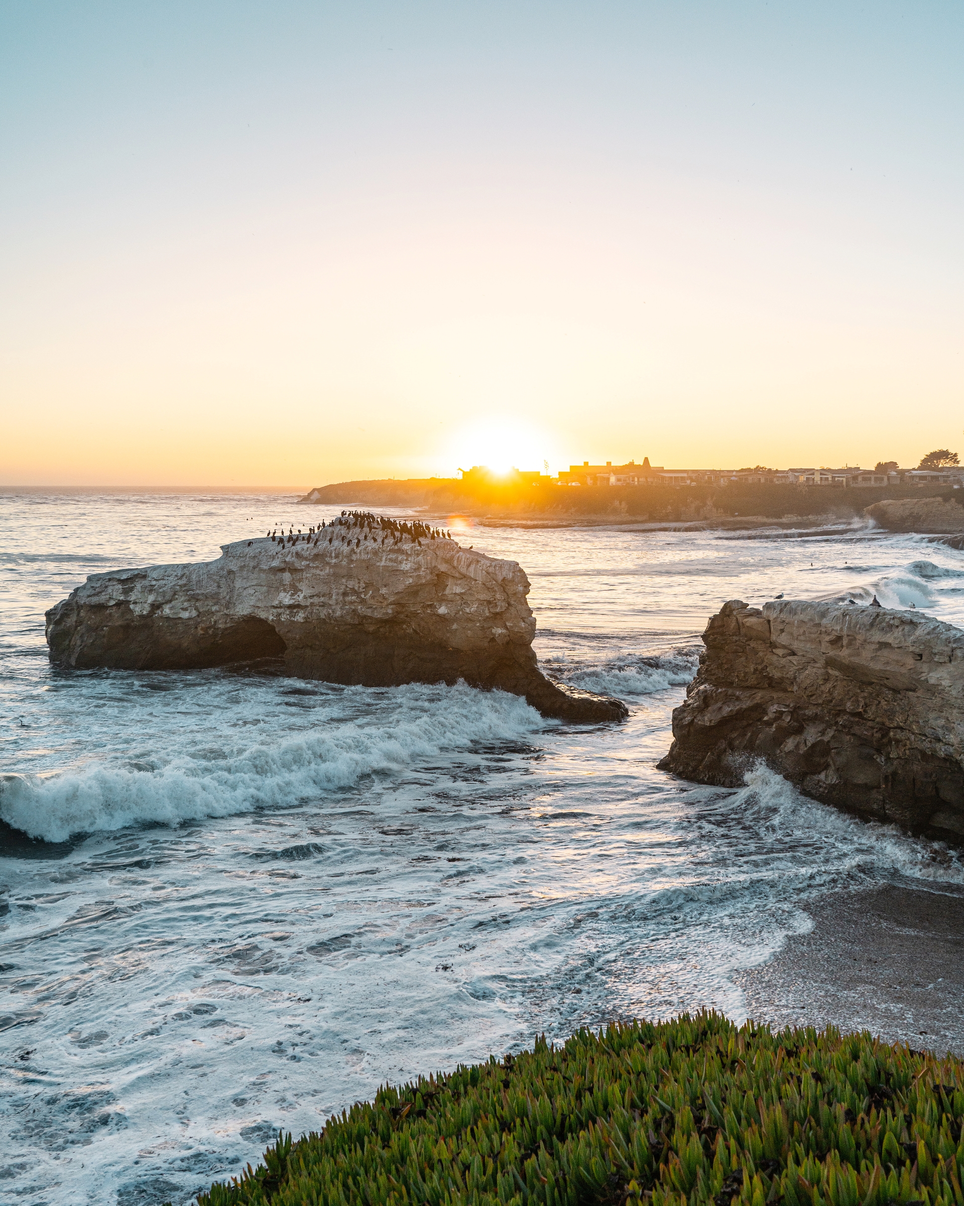 hiking trails in Santa Cruz