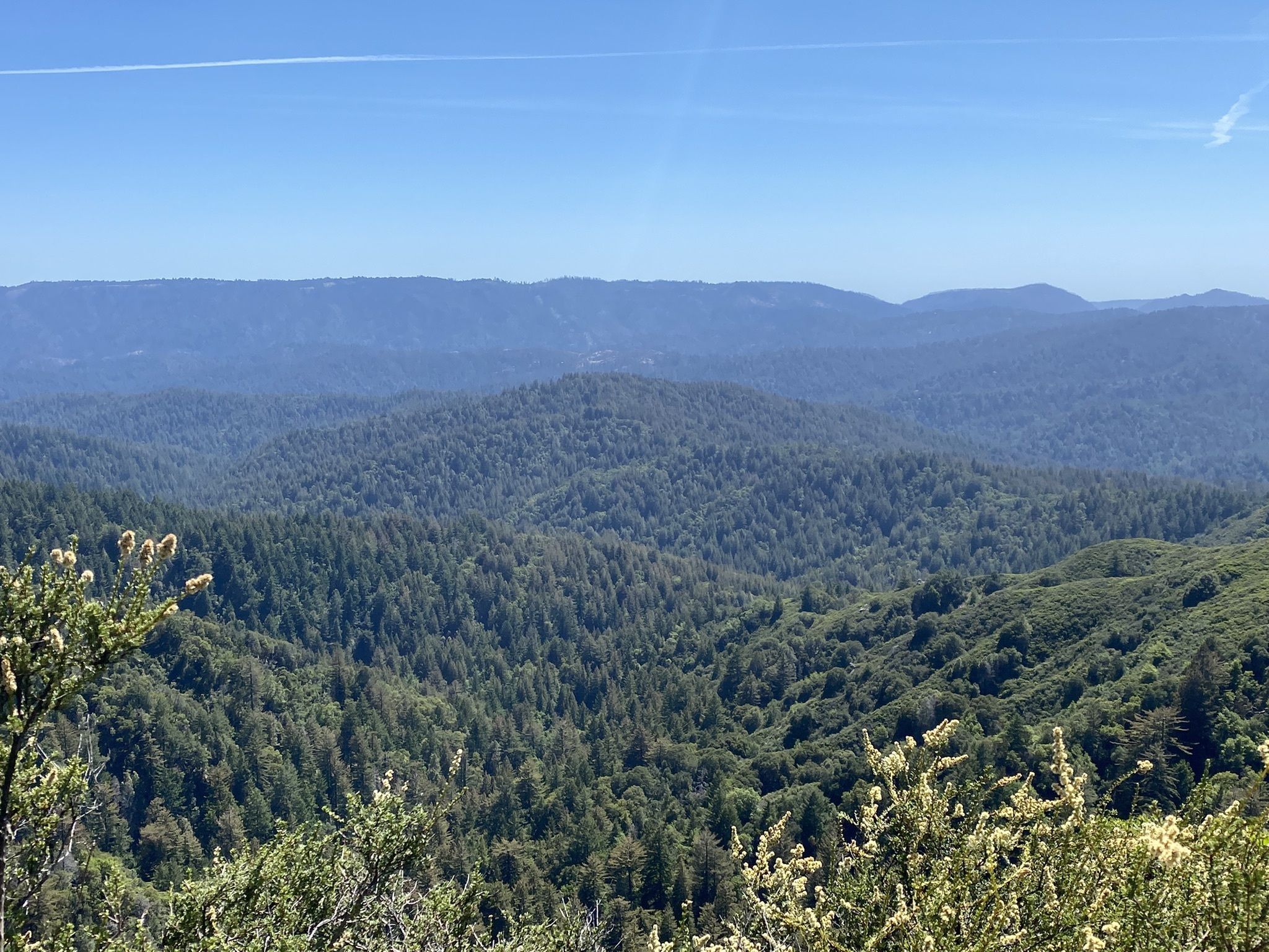 hiking trails in Santa Cruz
