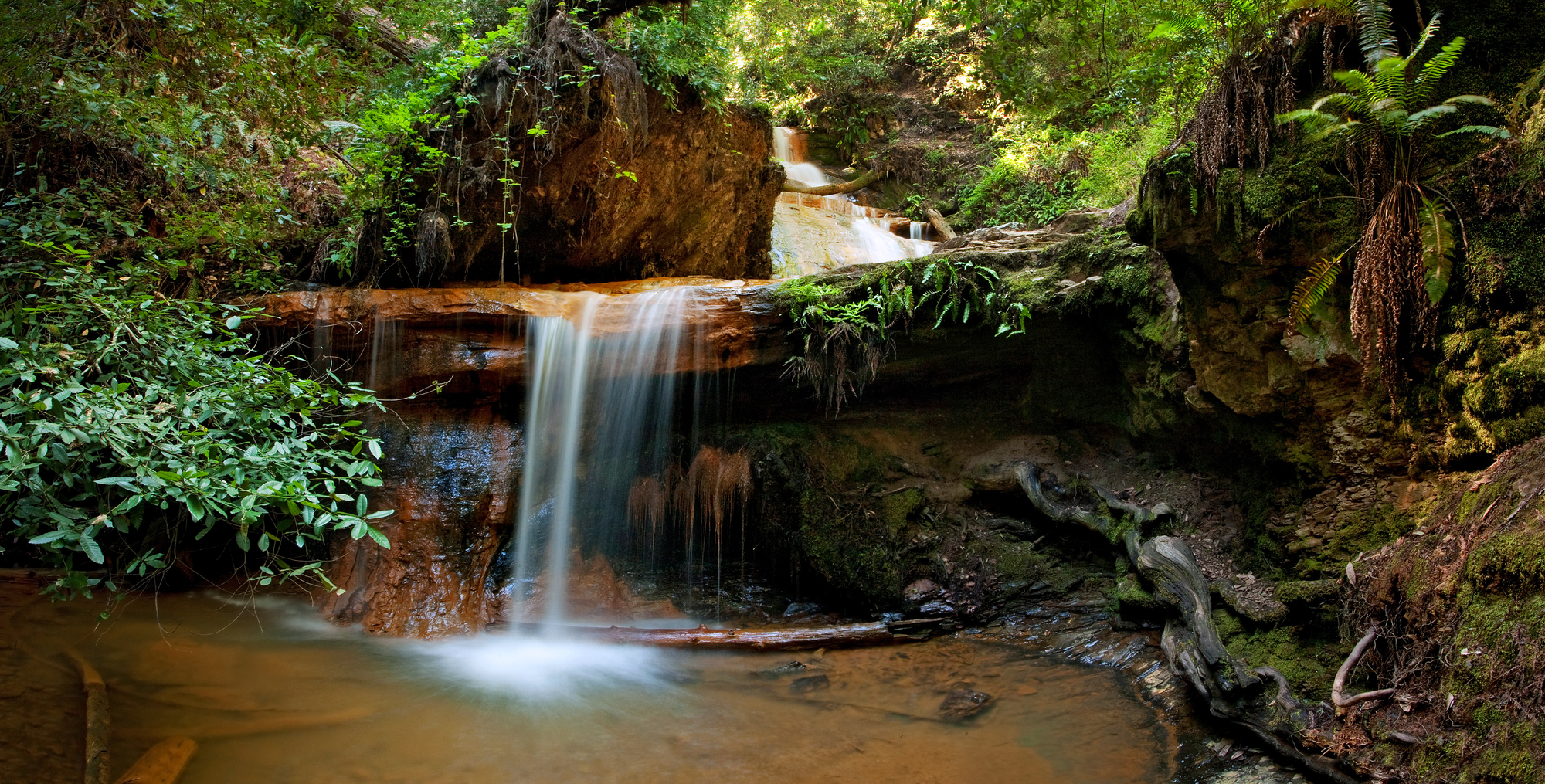 hiking trails in Santa Cruz