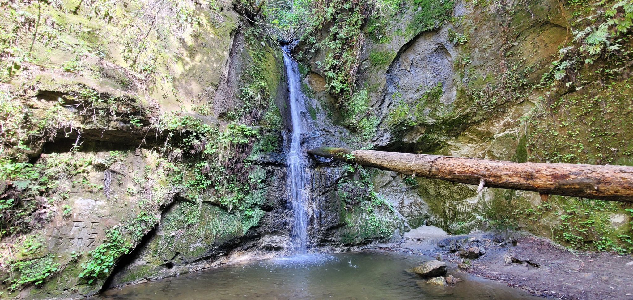 hiking trails in Santa Cruz