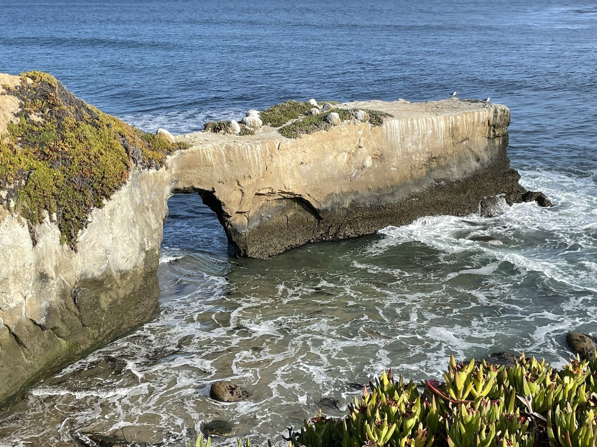 hiking trails in Santa Cruz