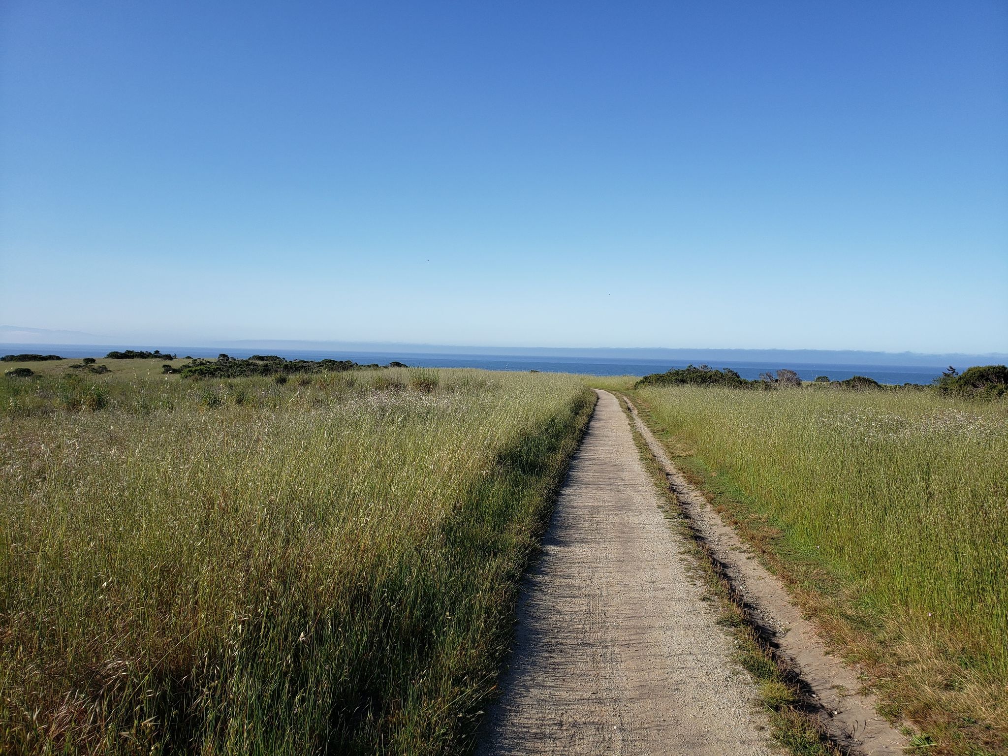 hiking trails in Santa Cruz