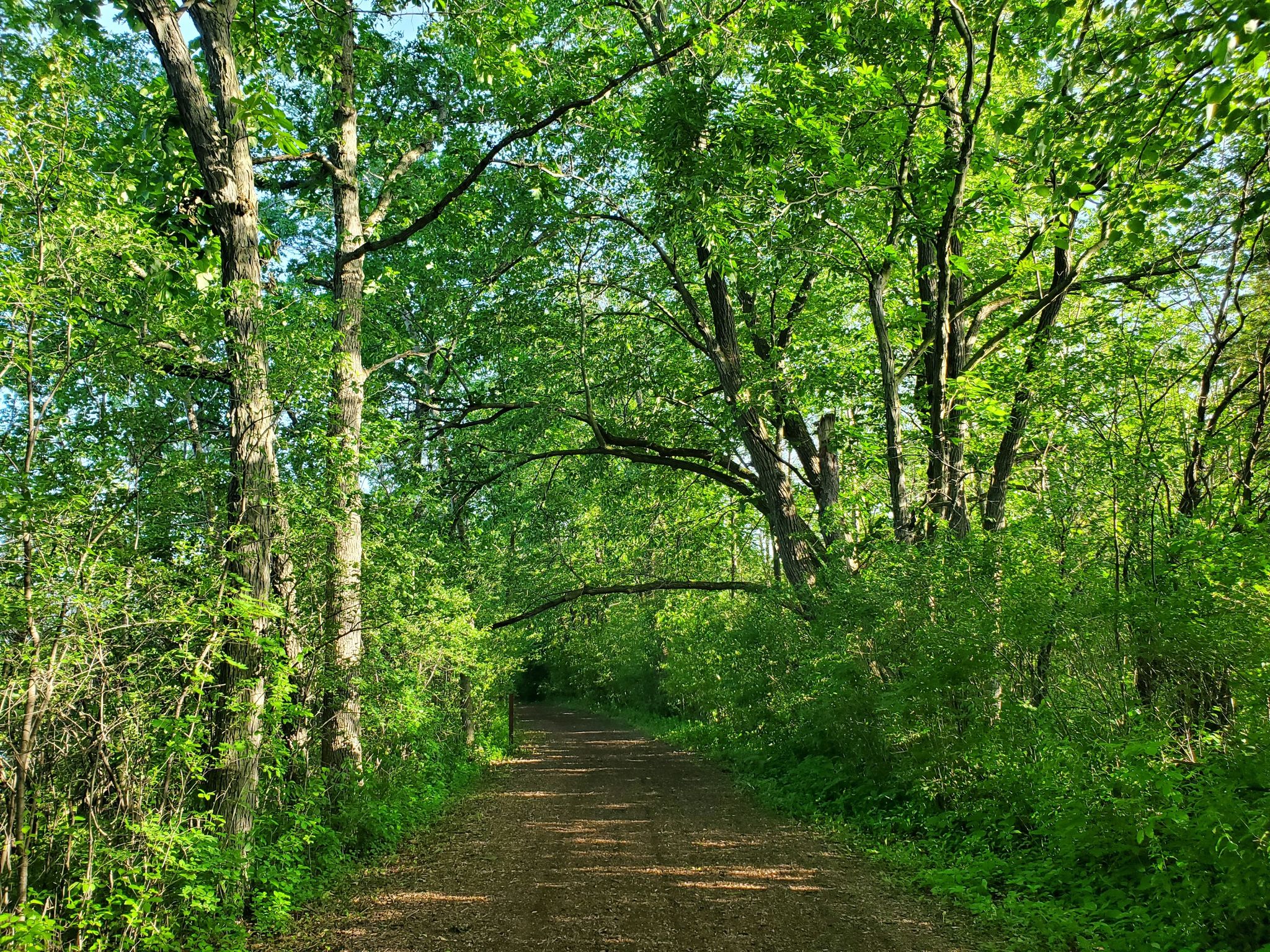 best hiking trails in Wisconsin