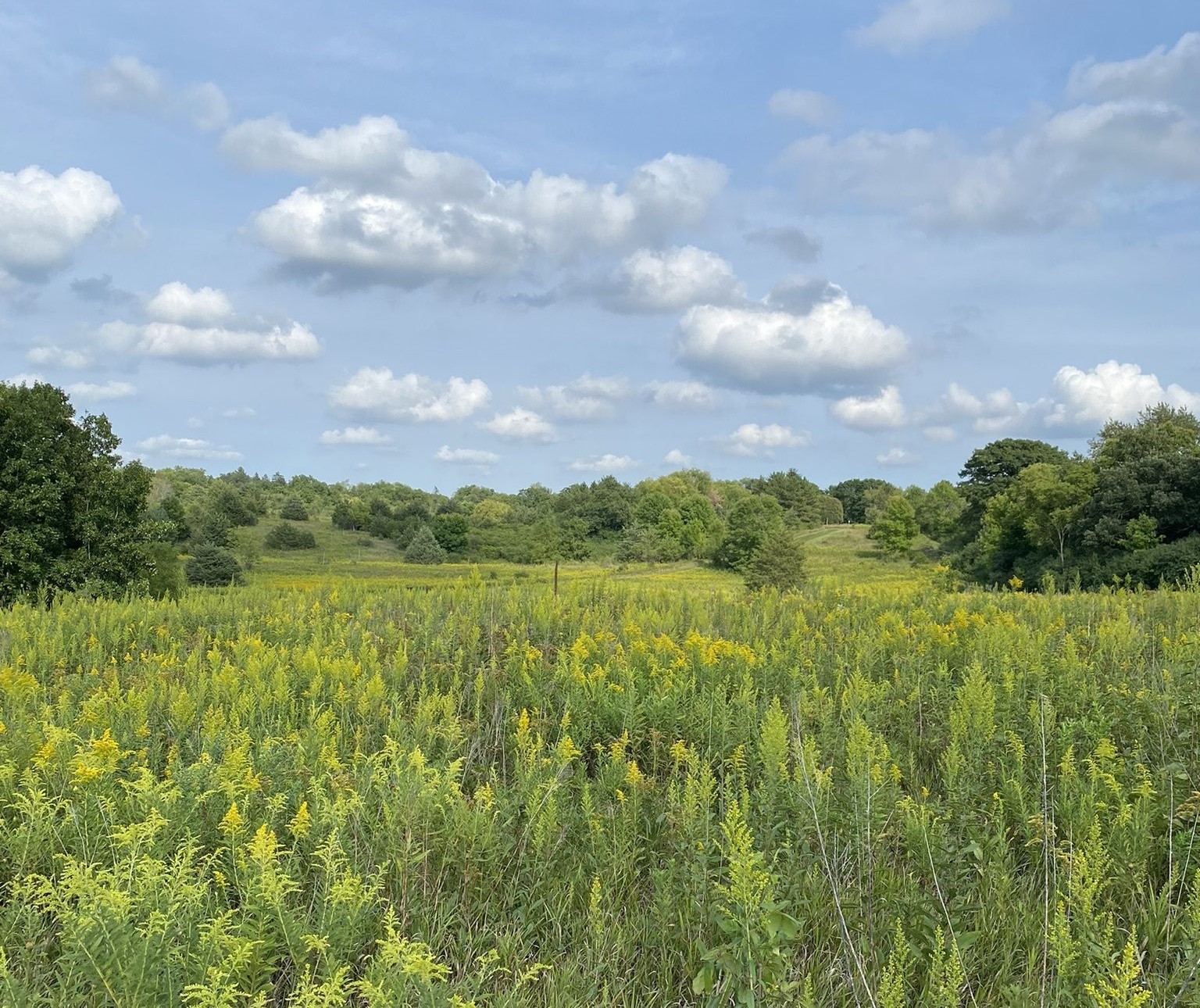 Nashotah Park is one of the most popular and best hiking trails in Wisconsin