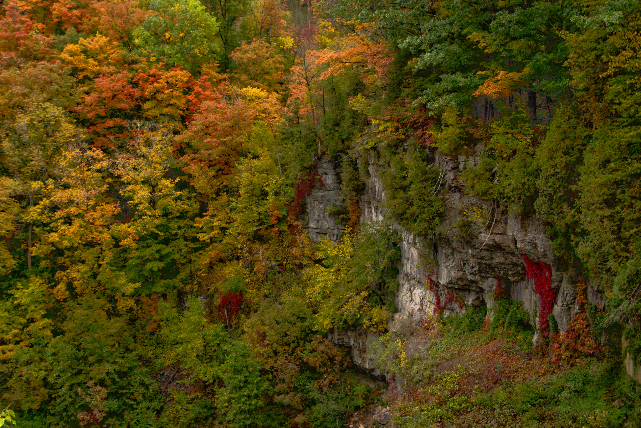 Chittenango Falls State Park has some beautiful fall foliage