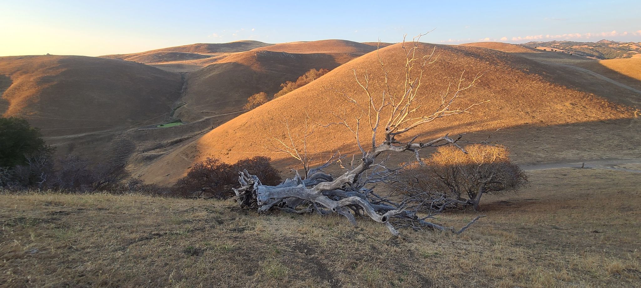 Alum Rock Park in Sierra Vista Open Space Preserve