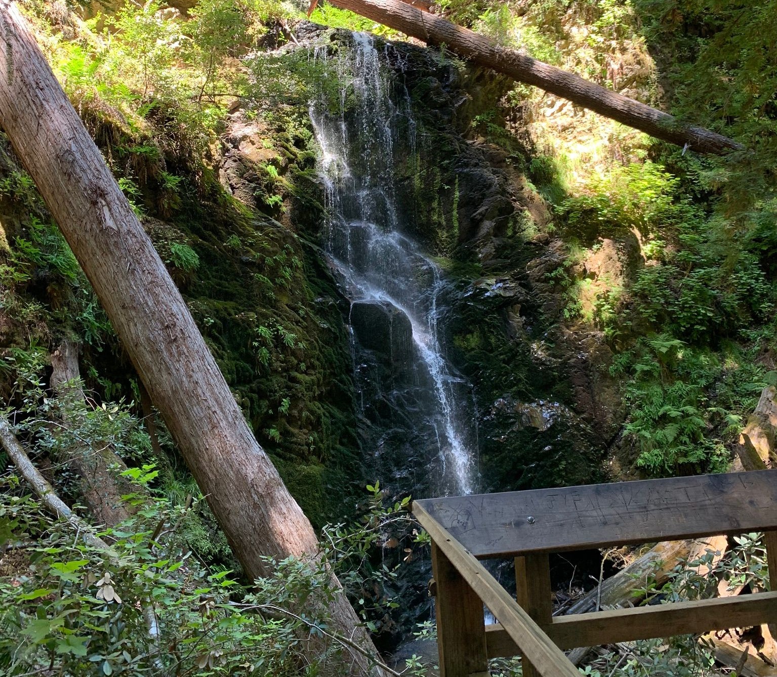 Berry Creek Falls Loop, Big Basin Redwoods State Park