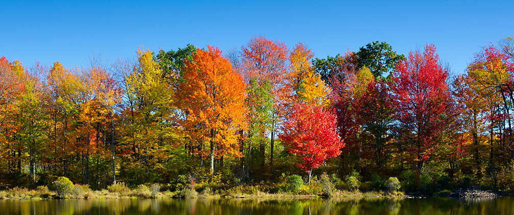 Best Hikes for New York Fall Foliage 10