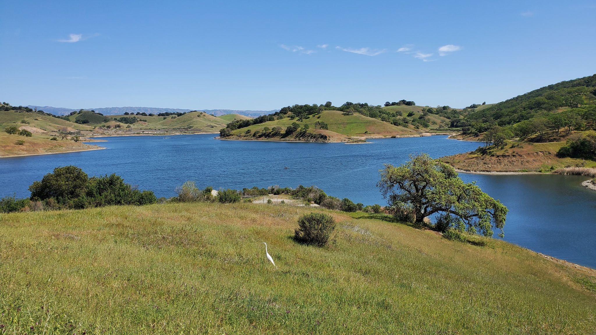 Rancho San Vicente Open Space Preserve has some great hiking trails in San Jose