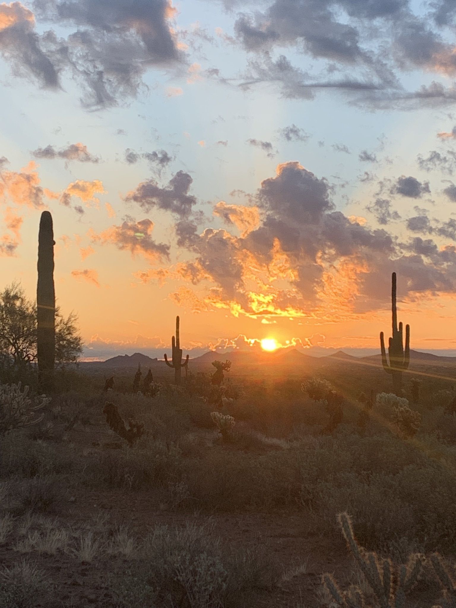  Apache Wash Loop Trail is an excellent choice for Sonoran desert sunsets