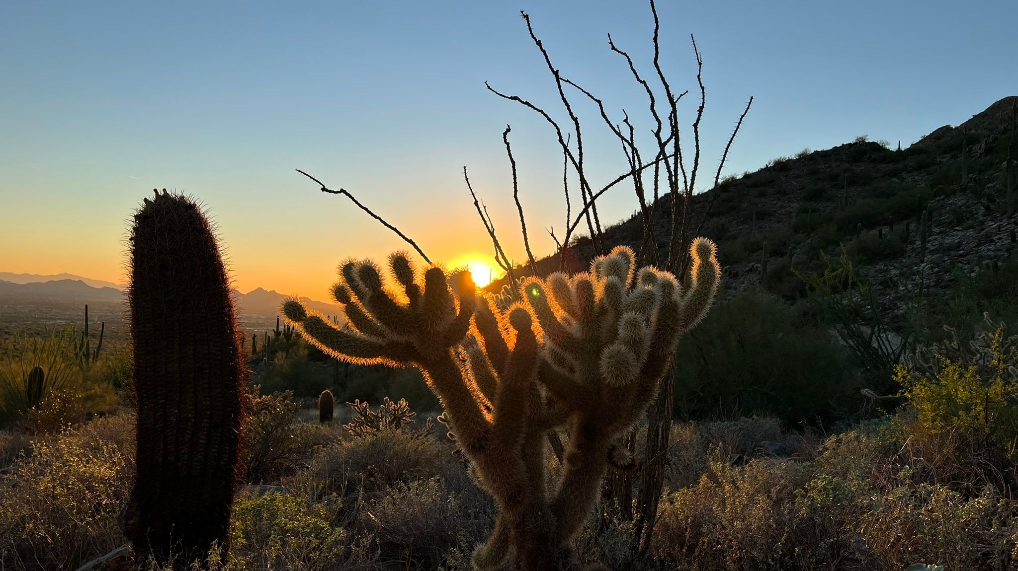 Best hiking trails in Scottsdale, Arizona

Gateway Trail