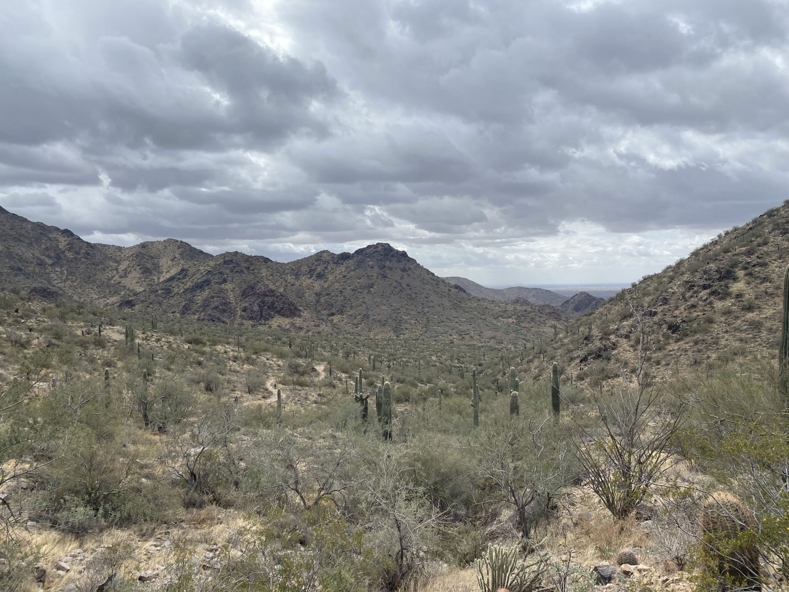 Best hiking trails in Scottsdale, Arizona