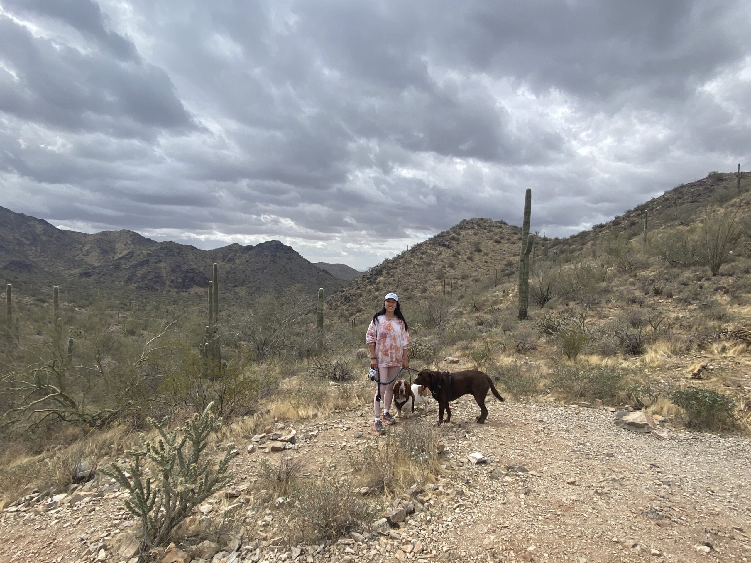 hiking trails in Scottsdale