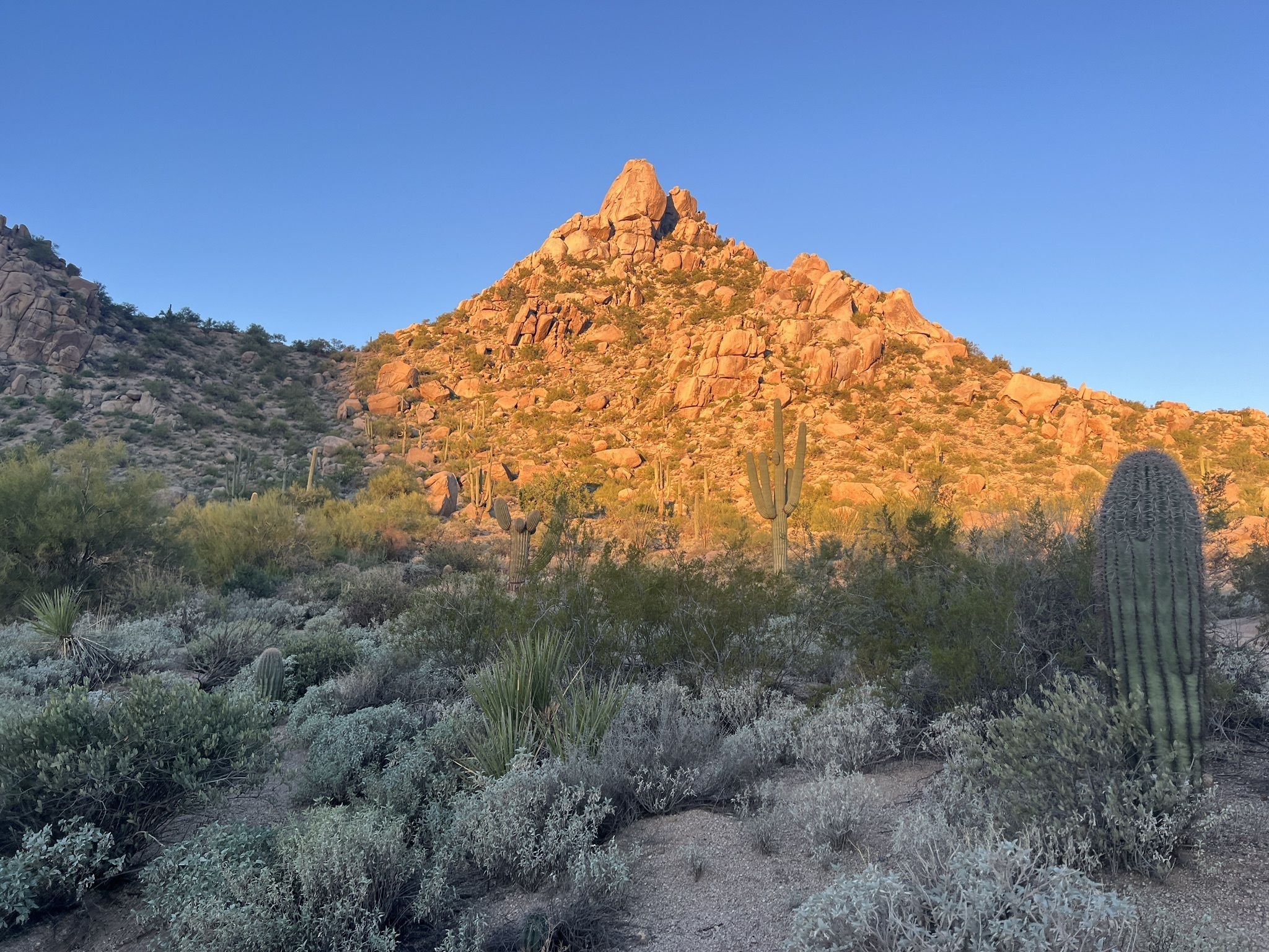 Pinnacle Peak Trail is nice and gentle hike in Scottsdale 