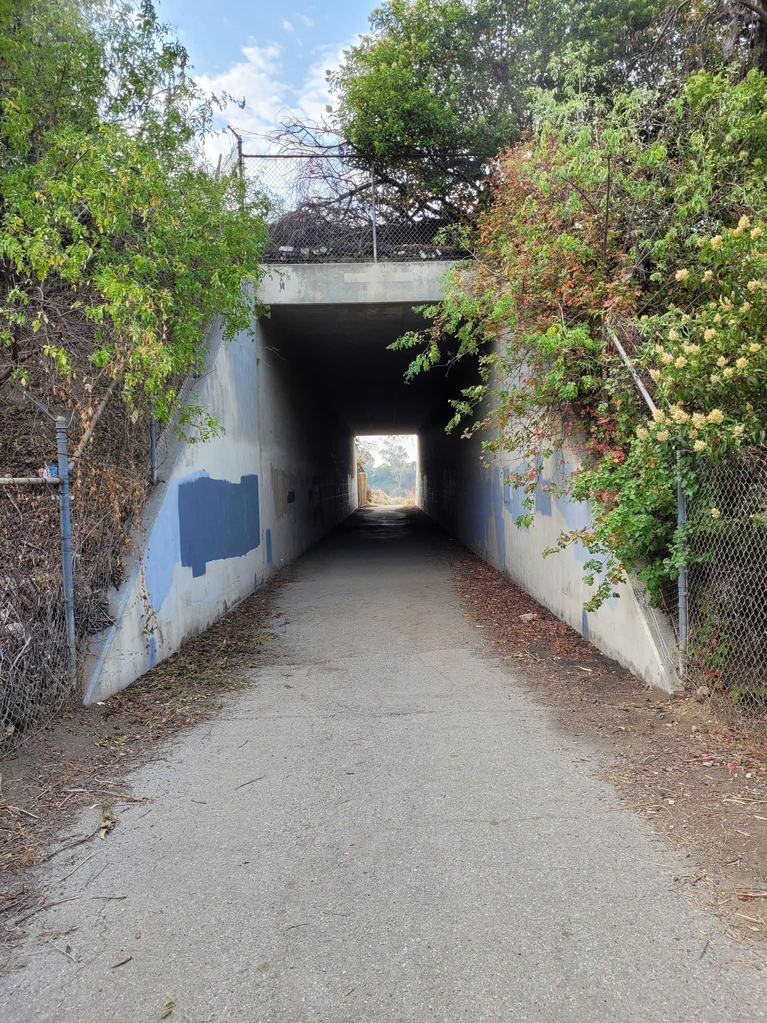 Quick tunnel for the Arroyo San Miguel Trail - one of the shorter Whittier hiking trails